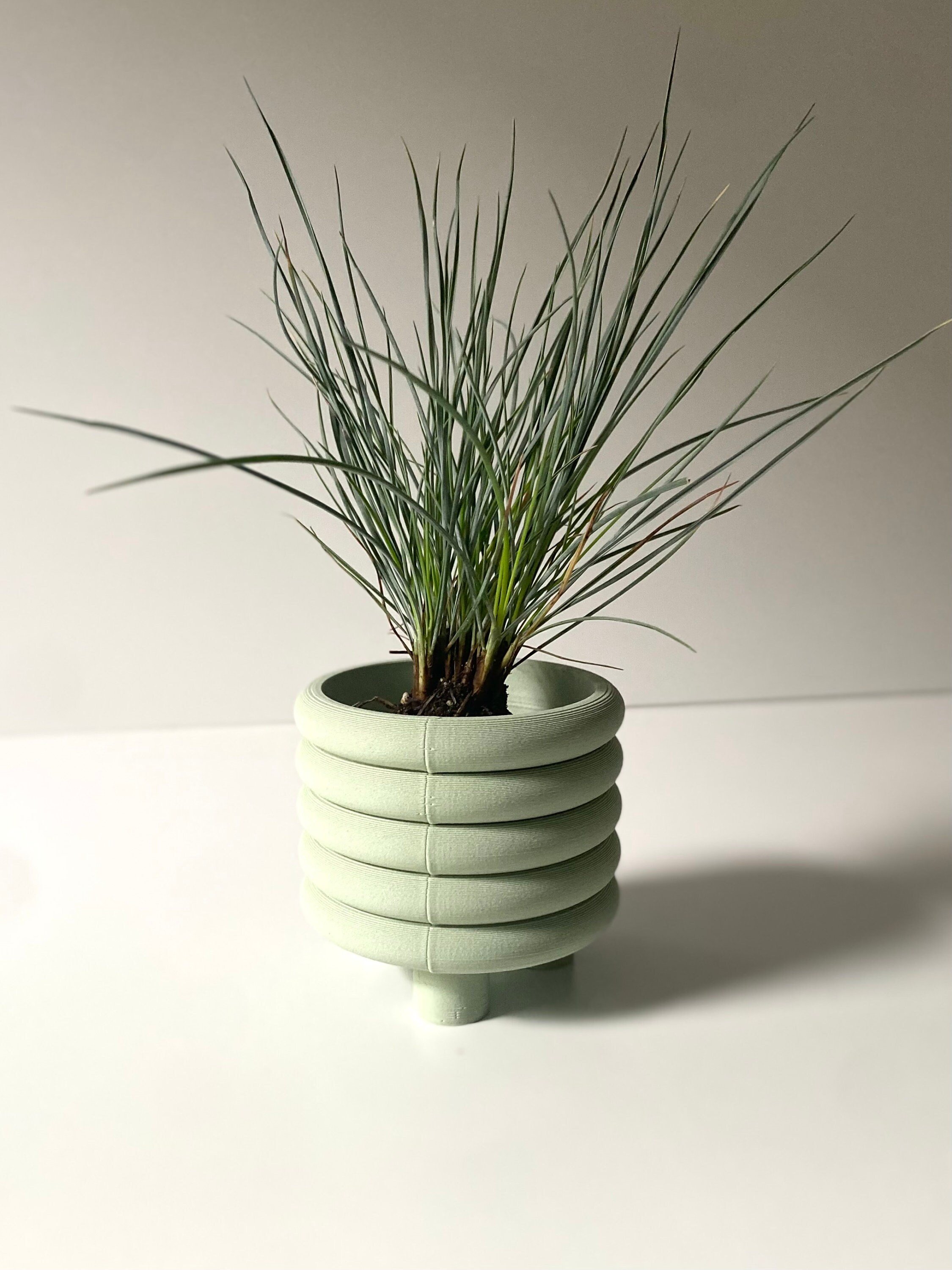 https://i.etsystatic.com/23301702/r/il/410af6/5032505113/il_fullxfull.5032505113_4f03.jpg