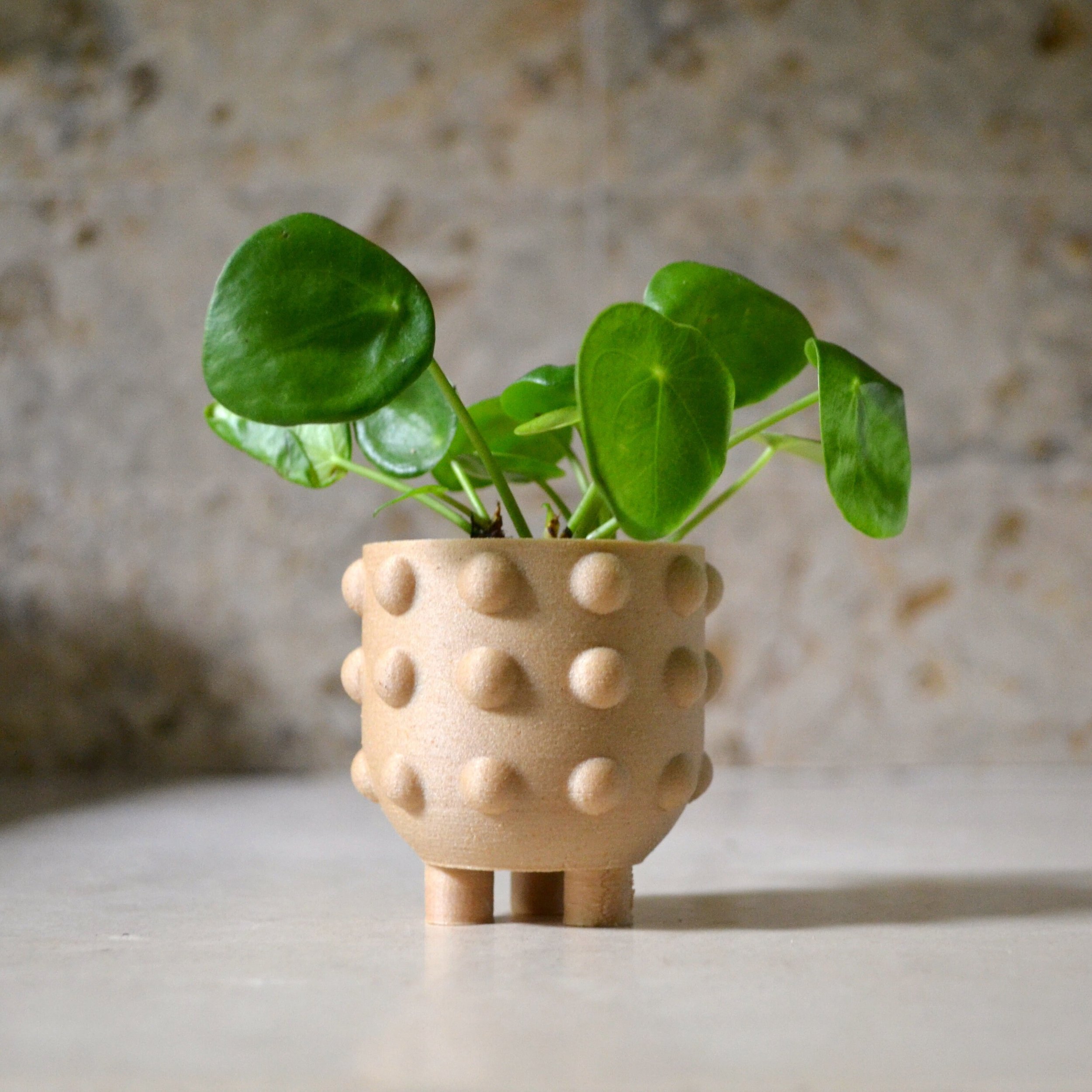 https://i.etsystatic.com/23301702/r/il/0619b6/2543914078/il_fullxfull.2543914078_fmlg.jpg