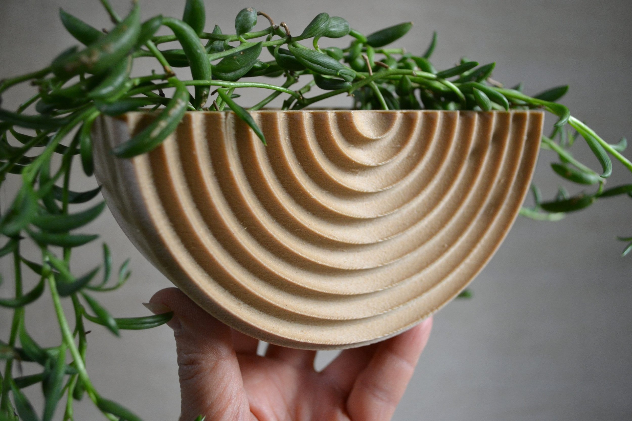 https://i.etsystatic.com/23301702/r/il/7d86a2/2911754531/il_fullxfull.2911754531_q2qi.jpg