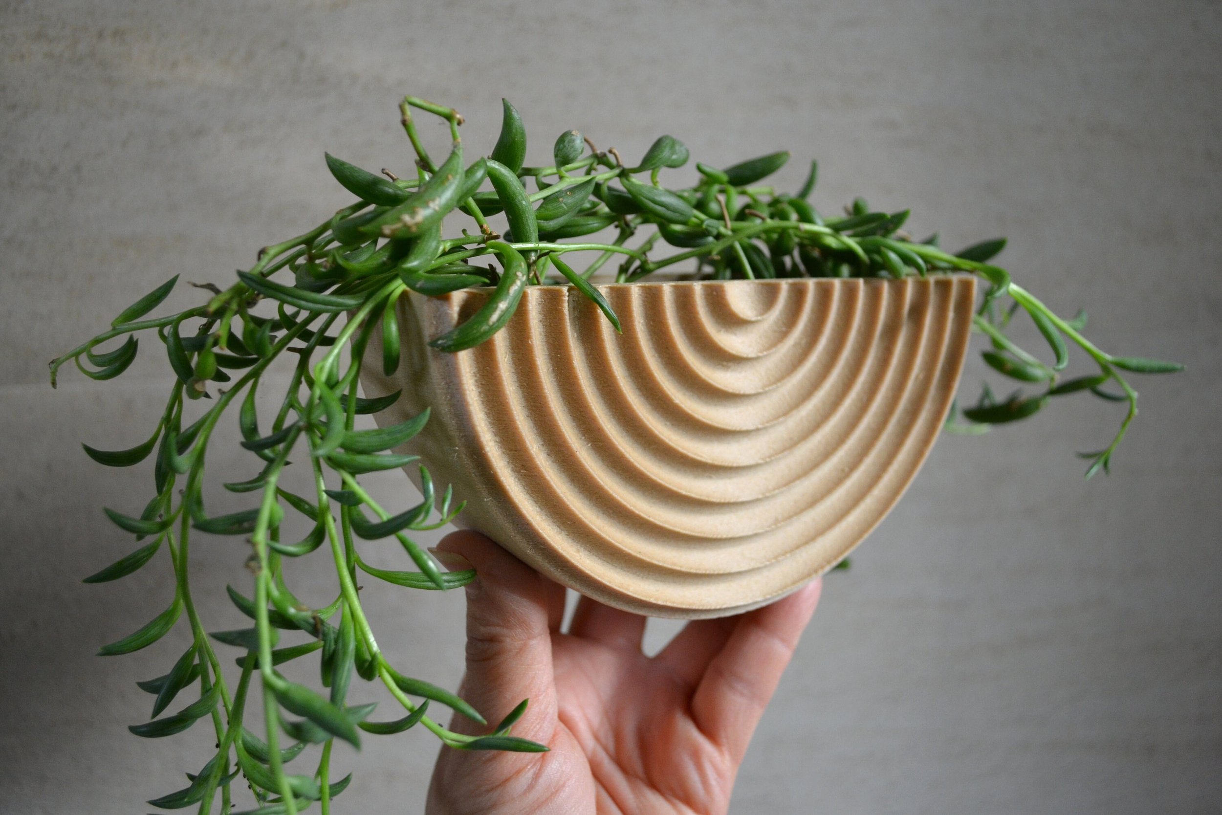 https://i.etsystatic.com/23301702/r/il/70d4c1/2864072822/il_fullxfull.2864072822_dyy2.jpg