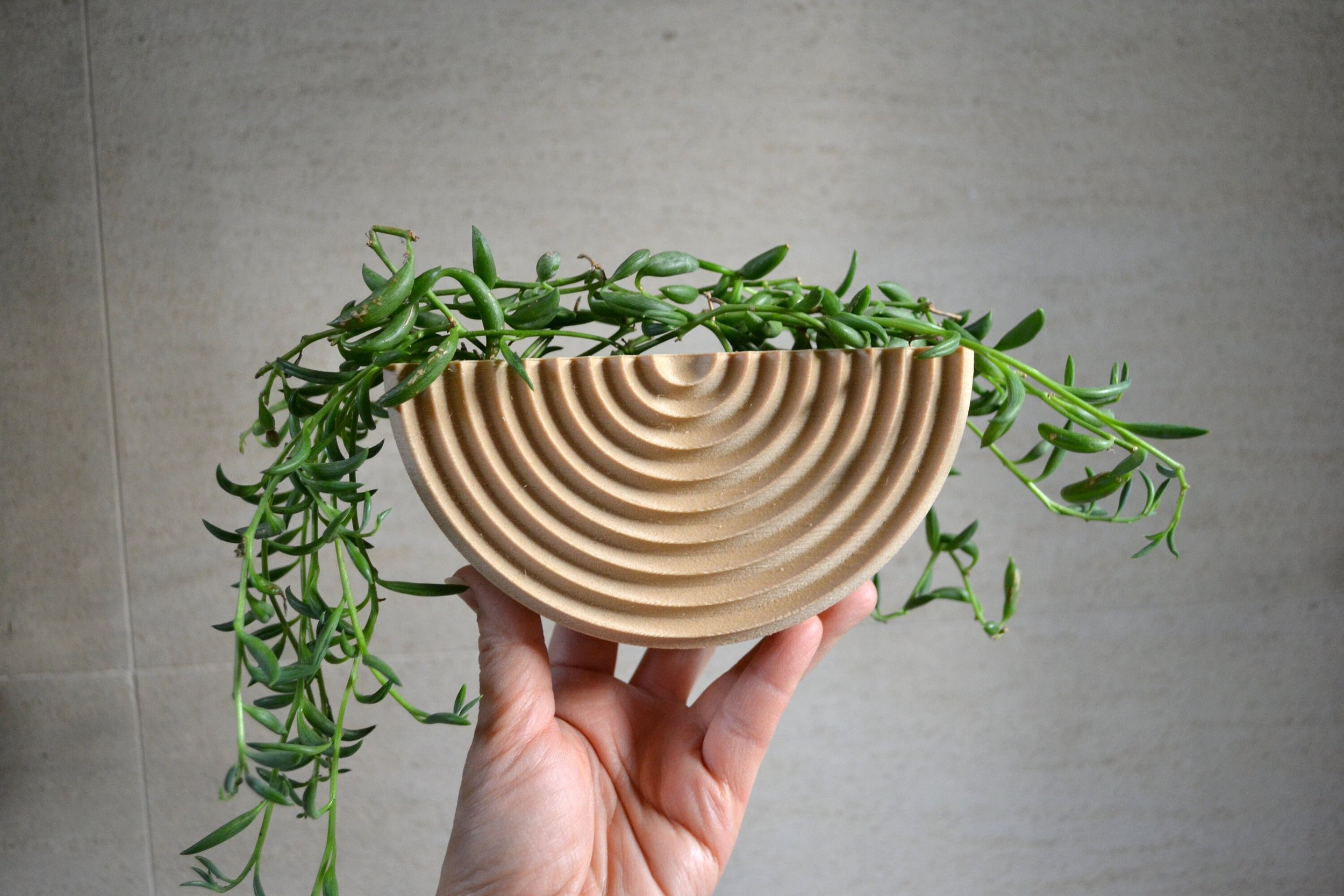 https://i.etsystatic.com/23301702/r/il/529b51/2864073044/il_fullxfull.2864073044_342c.jpg