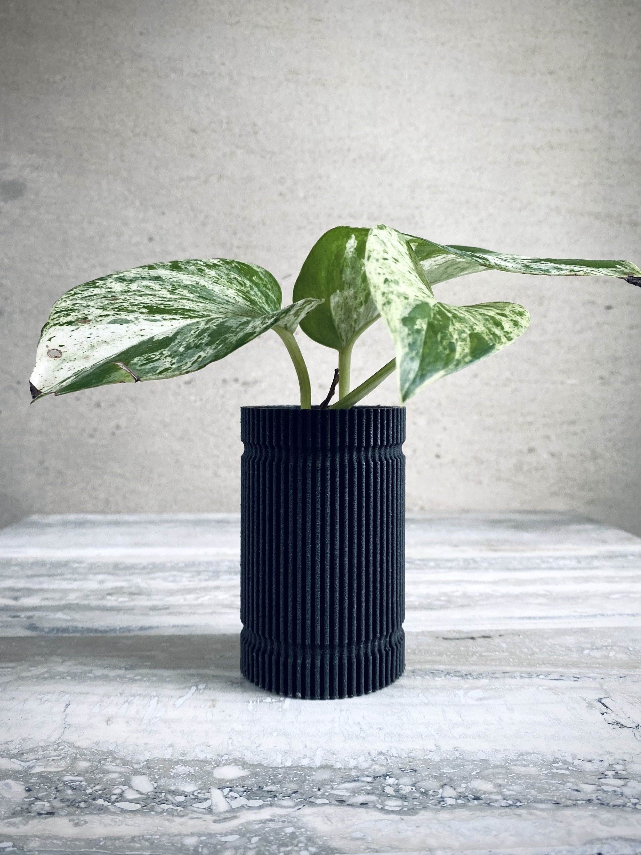https://i.etsystatic.com/23301702/r/il/9d01de/3110349684/il_fullxfull.3110349684_o2b6.jpg