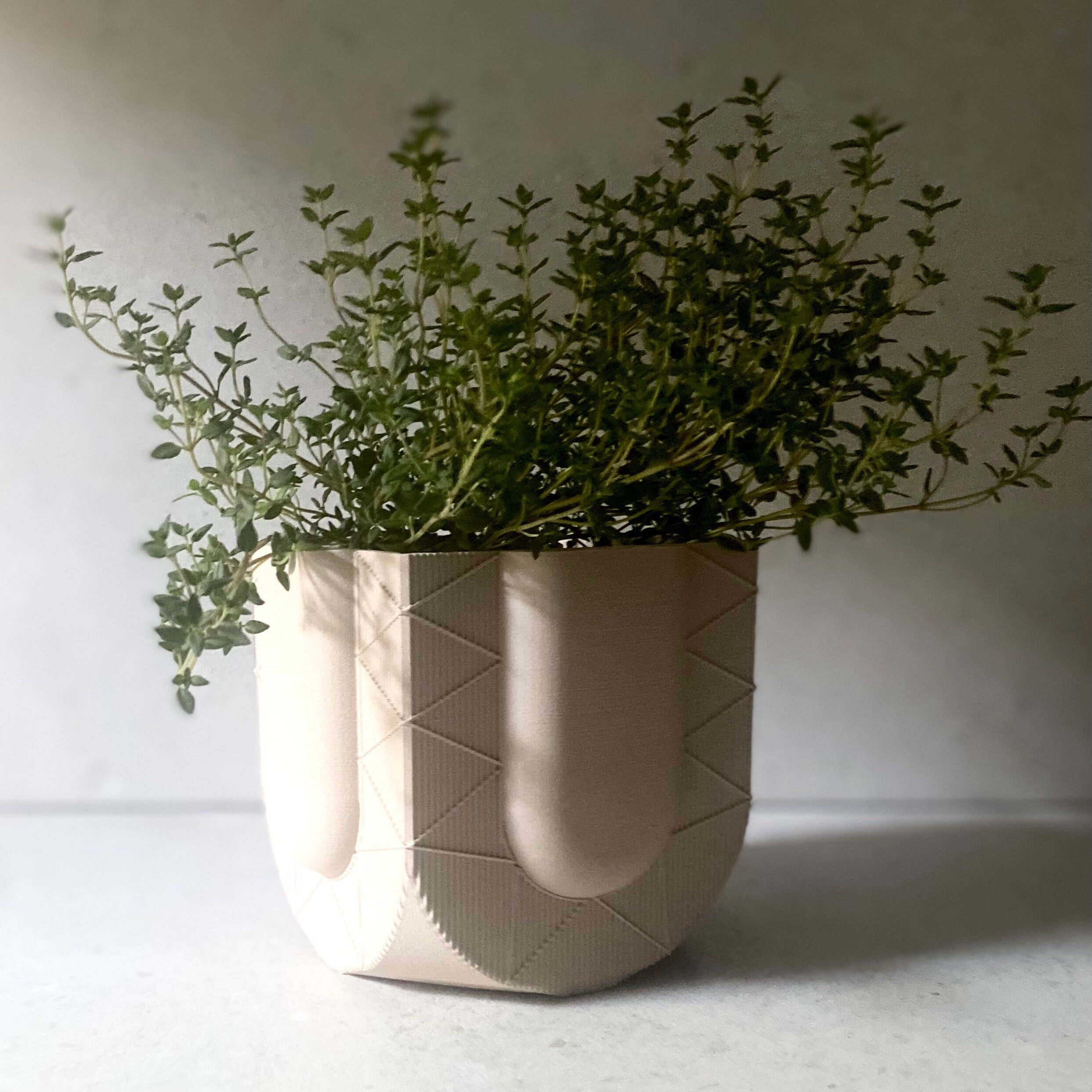 https://i.etsystatic.com/23301702/r/il/481b0b/5467361710/il_fullxfull.5467361710_81da.jpg