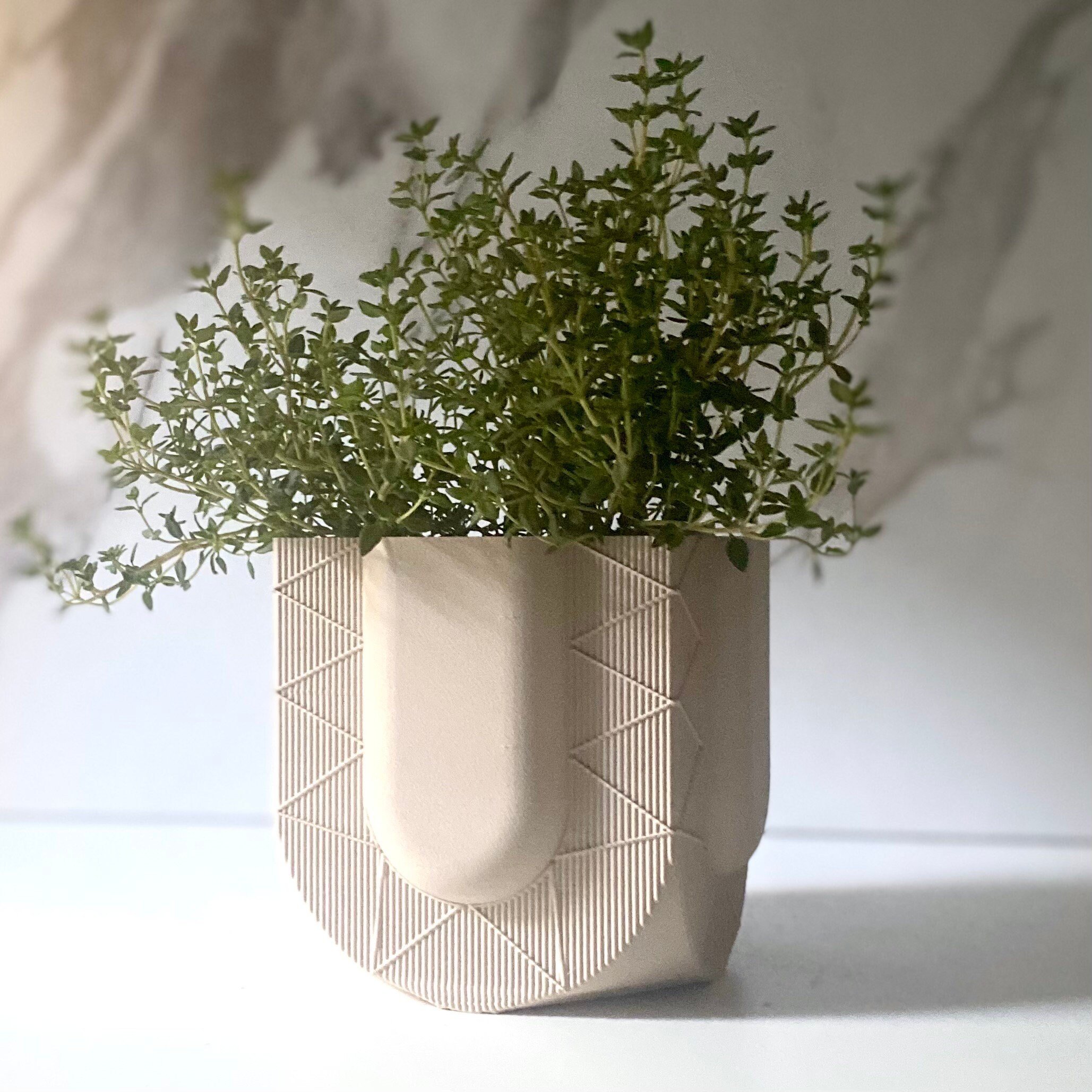 https://i.etsystatic.com/23301702/r/il/f51295/5467361452/il_fullxfull.5467361452_avnn.jpg