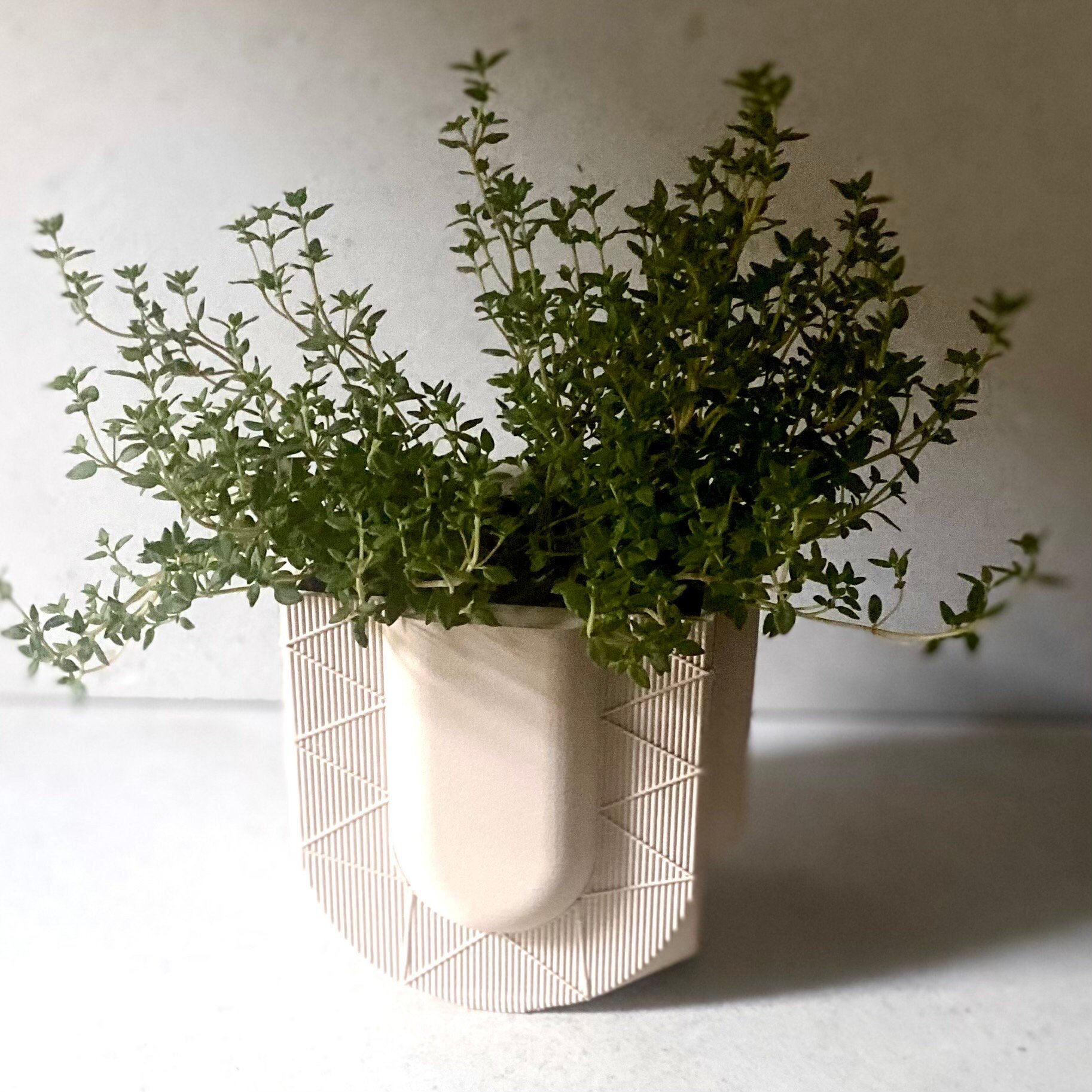 https://i.etsystatic.com/23301702/r/il/9c1a72/5467361596/il_fullxfull.5467361596_3fut.jpg