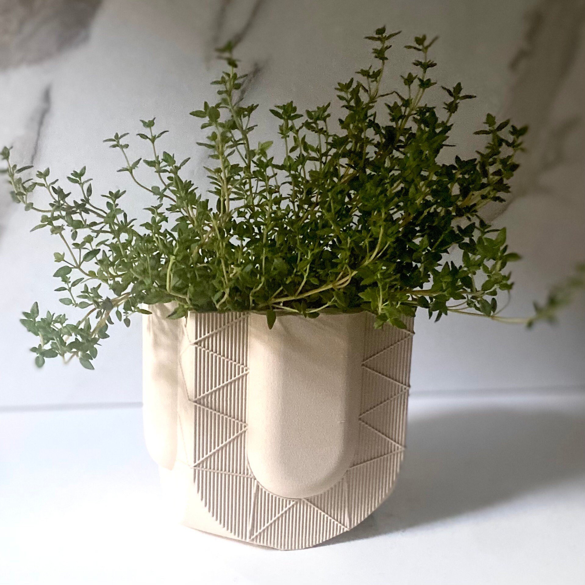 https://i.etsystatic.com/23301702/r/il/c1ece8/5515466291/il_fullxfull.5515466291_k83y.jpg