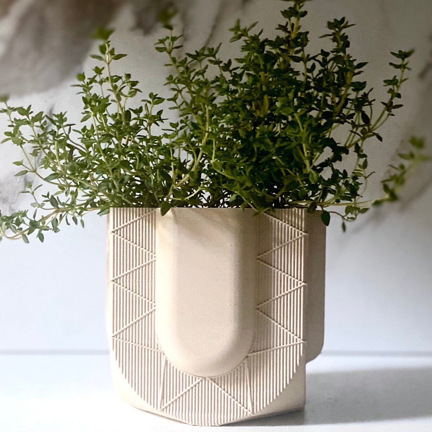 https://i.etsystatic.com/23301702/r/il/af0b9e/5467361534/il_fullxfull.5467361534_g9cn.jpg