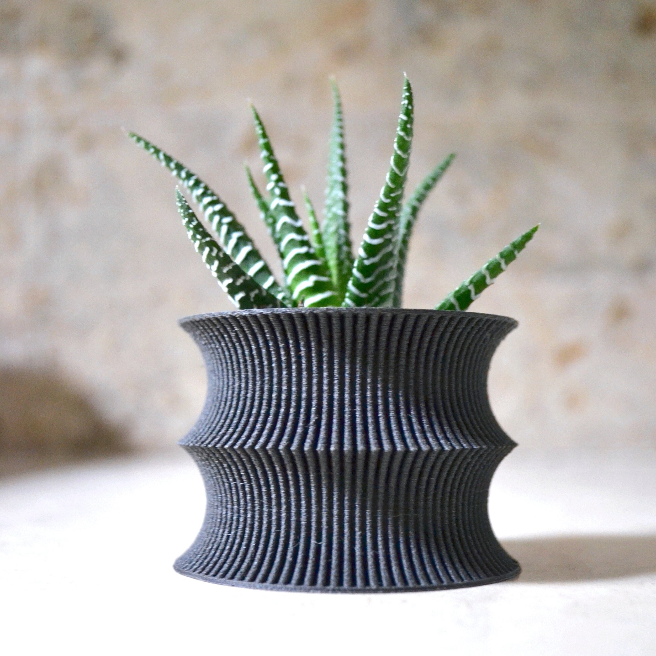 https://i.etsystatic.com/23301702/r/il/6d8c95/2553344452/il_fullxfull.2553344452_pxjd.jpg