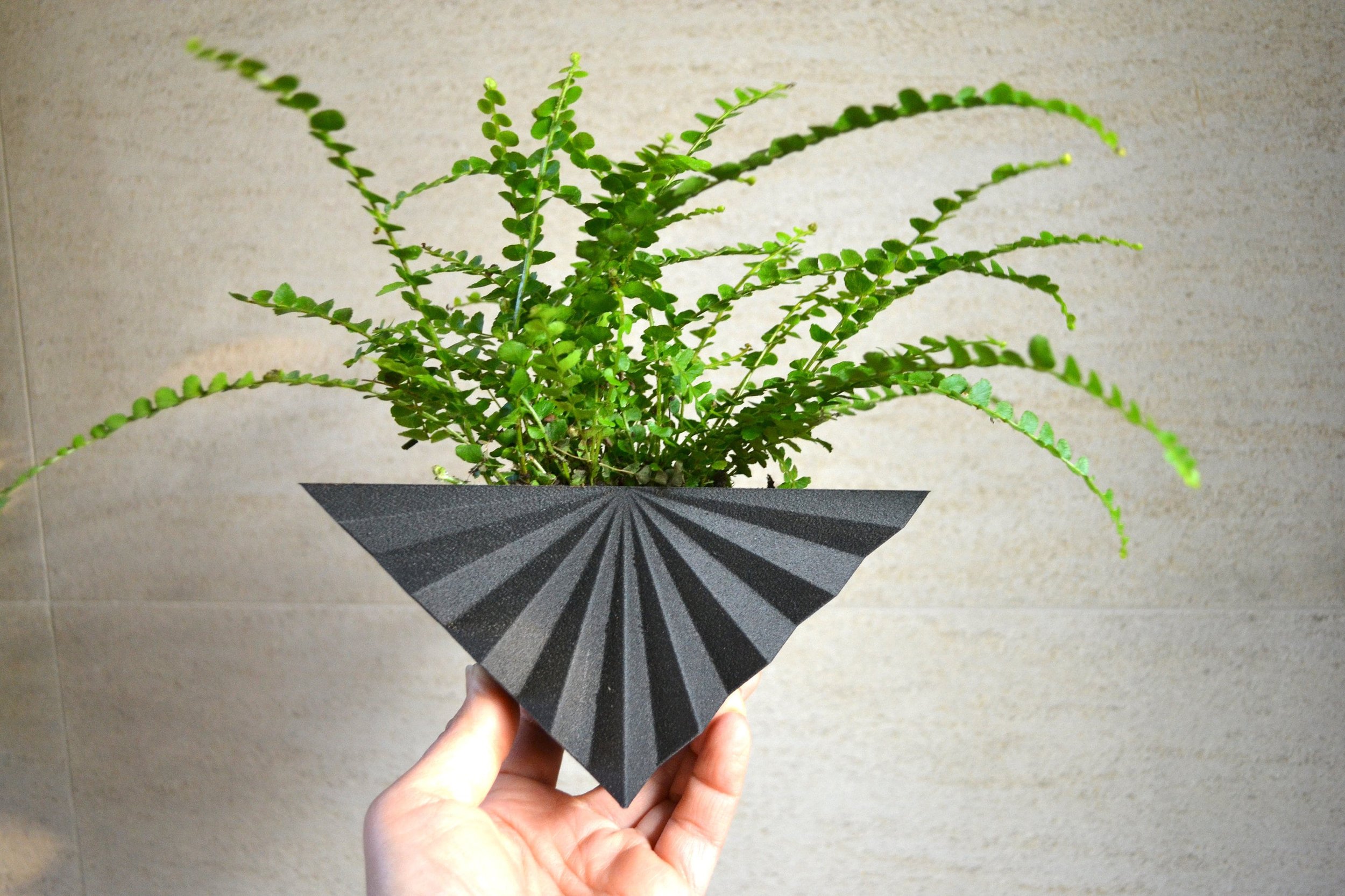 https://i.etsystatic.com/23301702/r/il/9ba12e/2826565217/il_fullxfull.2826565217_h596.jpg