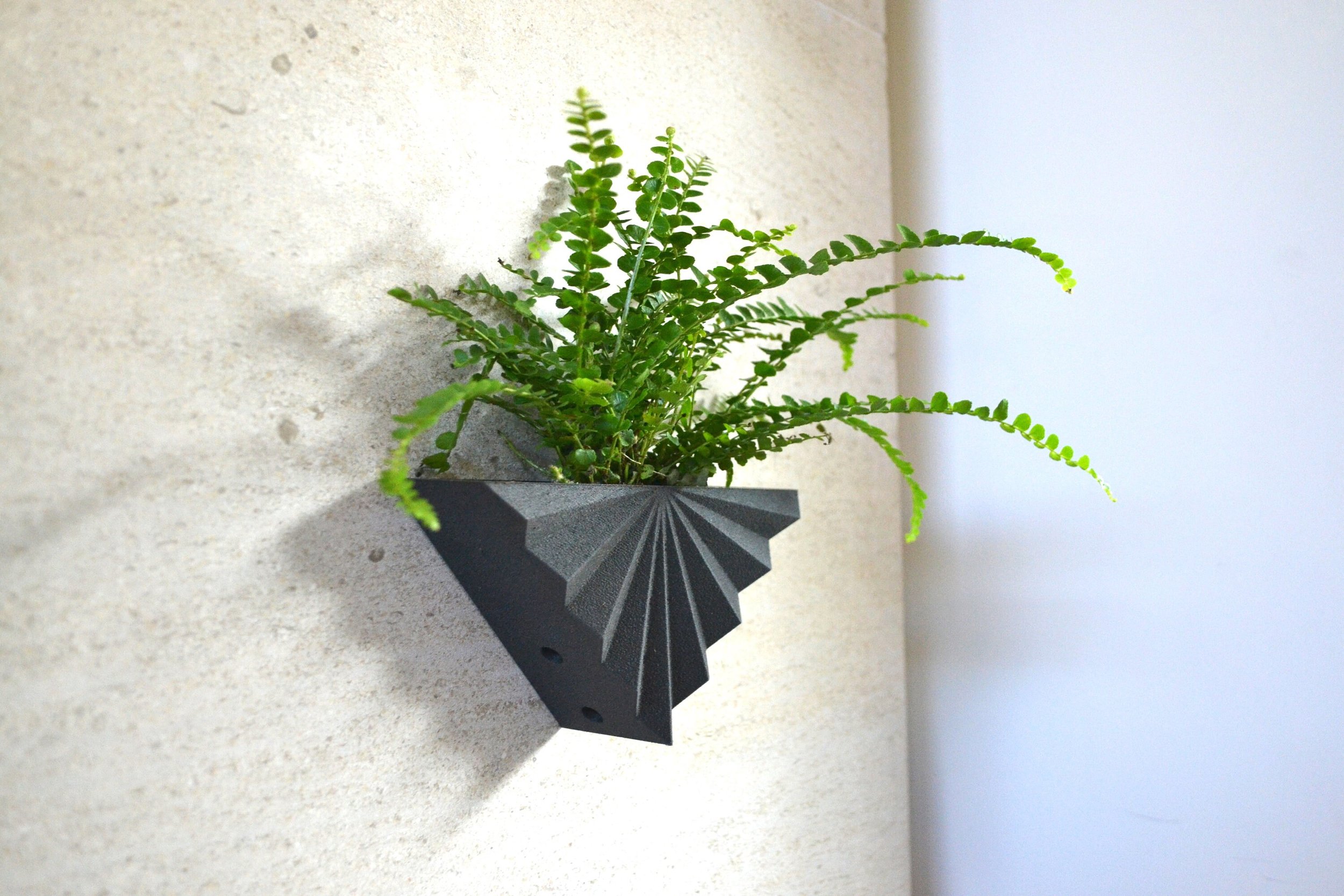 https://i.etsystatic.com/23301702/r/il/411b27/2778883712/il_fullxfull.2778883712_sx9p.jpg