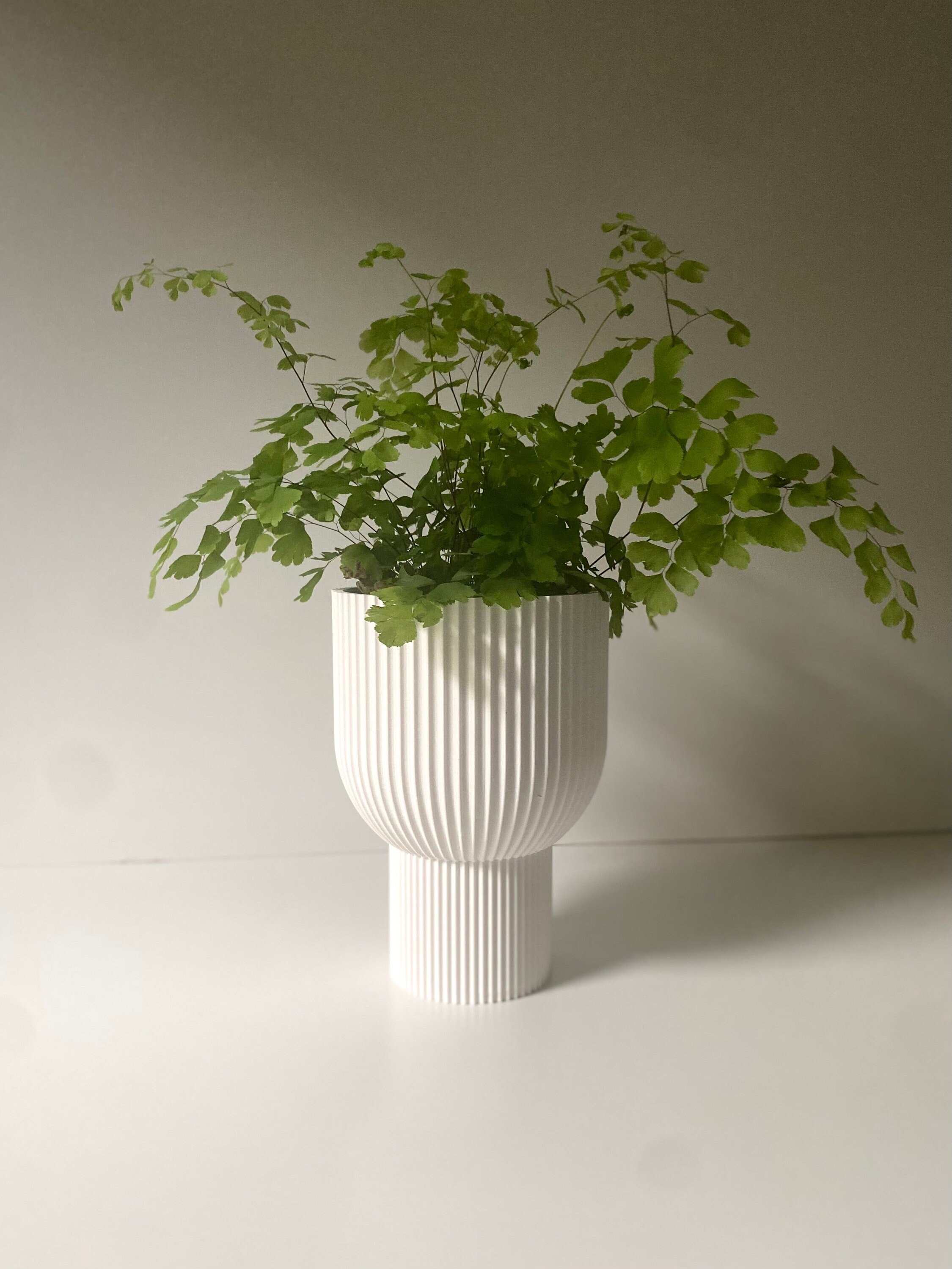 https://i.etsystatic.com/23301702/r/il/053776/5032274063/il_fullxfull.5032274063_fe7x.jpg