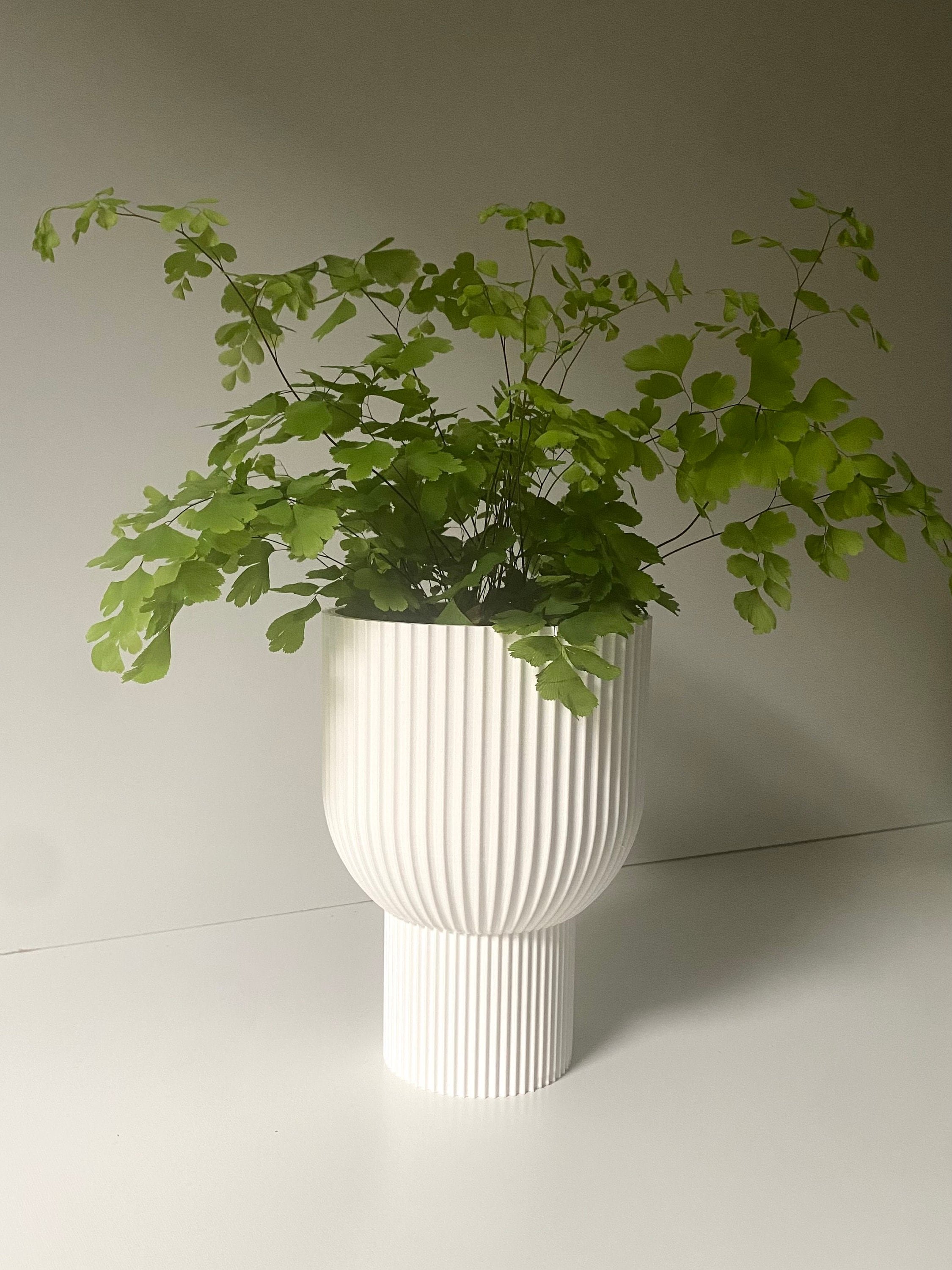 https://i.etsystatic.com/23301702/r/il/726198/5032274207/il_fullxfull.5032274207_sdzb.jpg