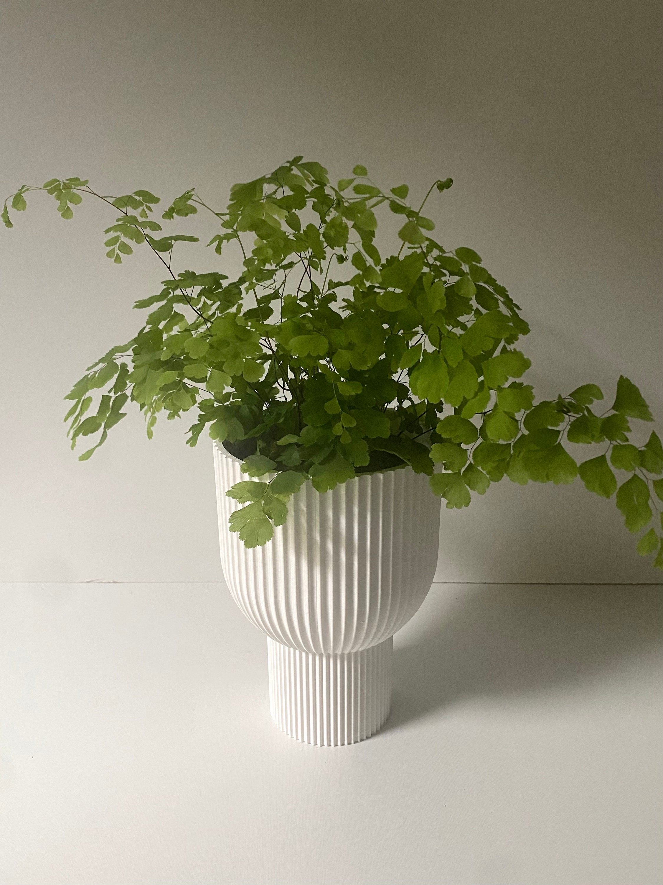 https://i.etsystatic.com/23301702/r/il/9cd82c/4984027896/il_fullxfull.4984027896_5c3r.jpg
