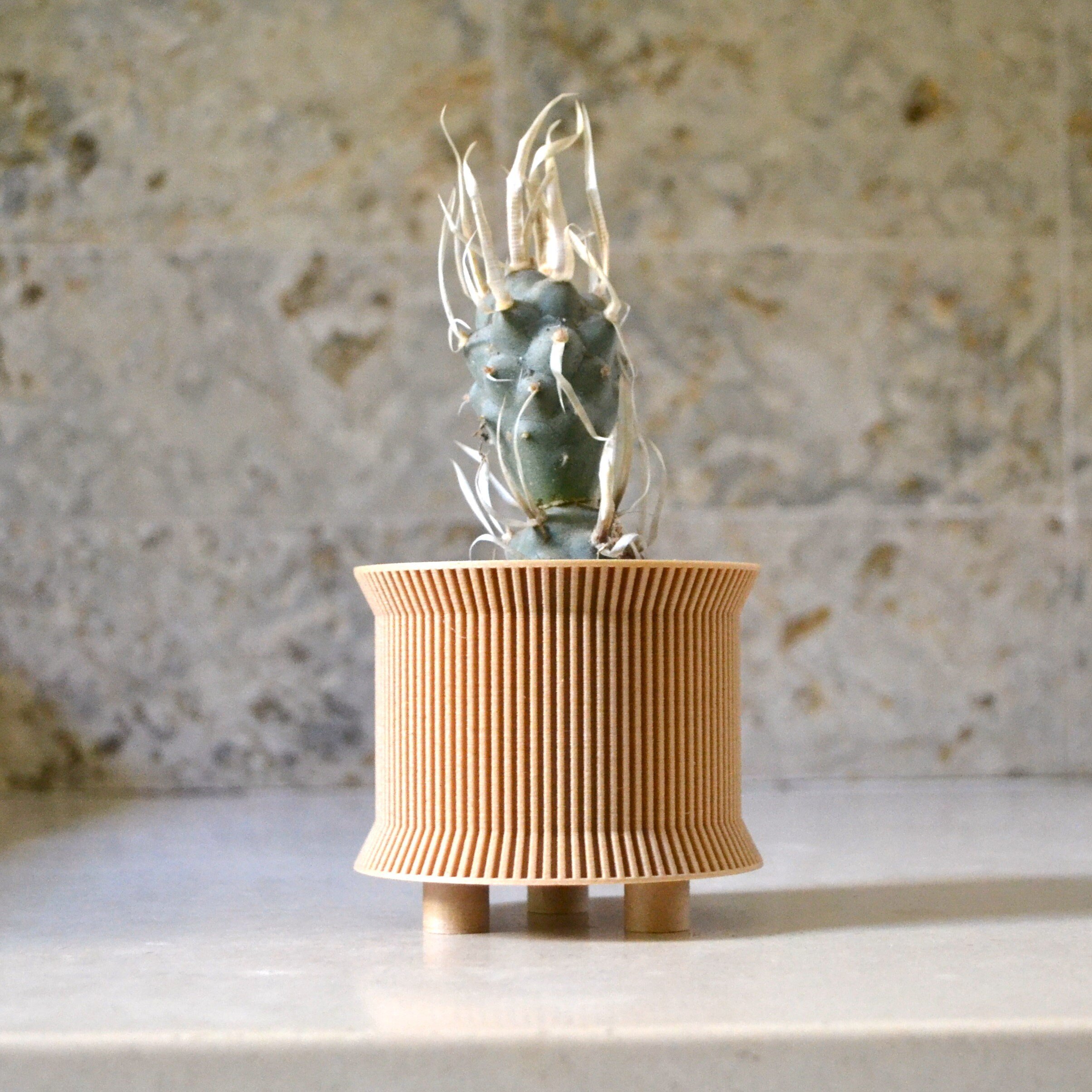 https://i.etsystatic.com/23301702/r/il/4683aa/2571437899/il_fullxfull.2571437899_3kow.jpg