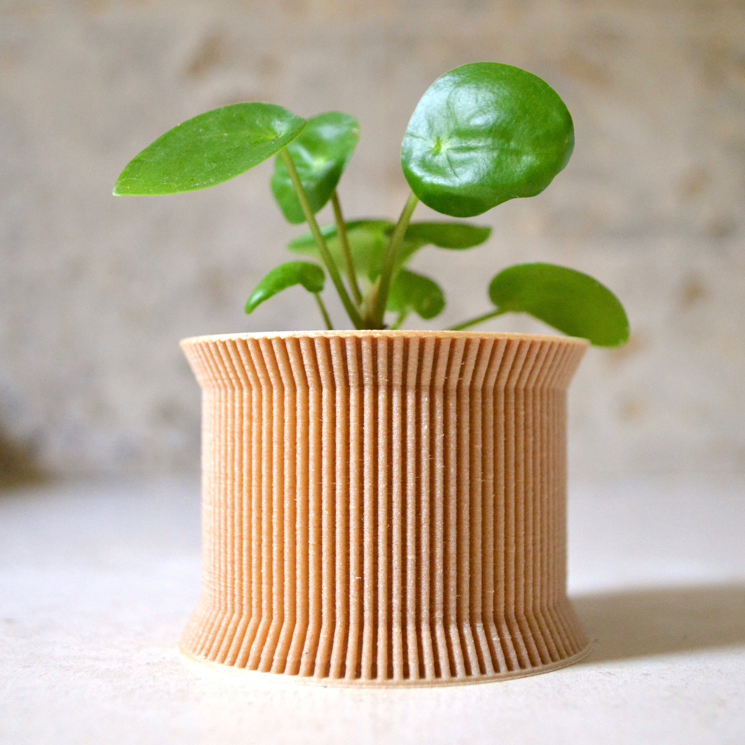 https://i.etsystatic.com/23301702/r/il/dc9726/2556438523/il_fullxfull.2556438523_5wi7.jpg