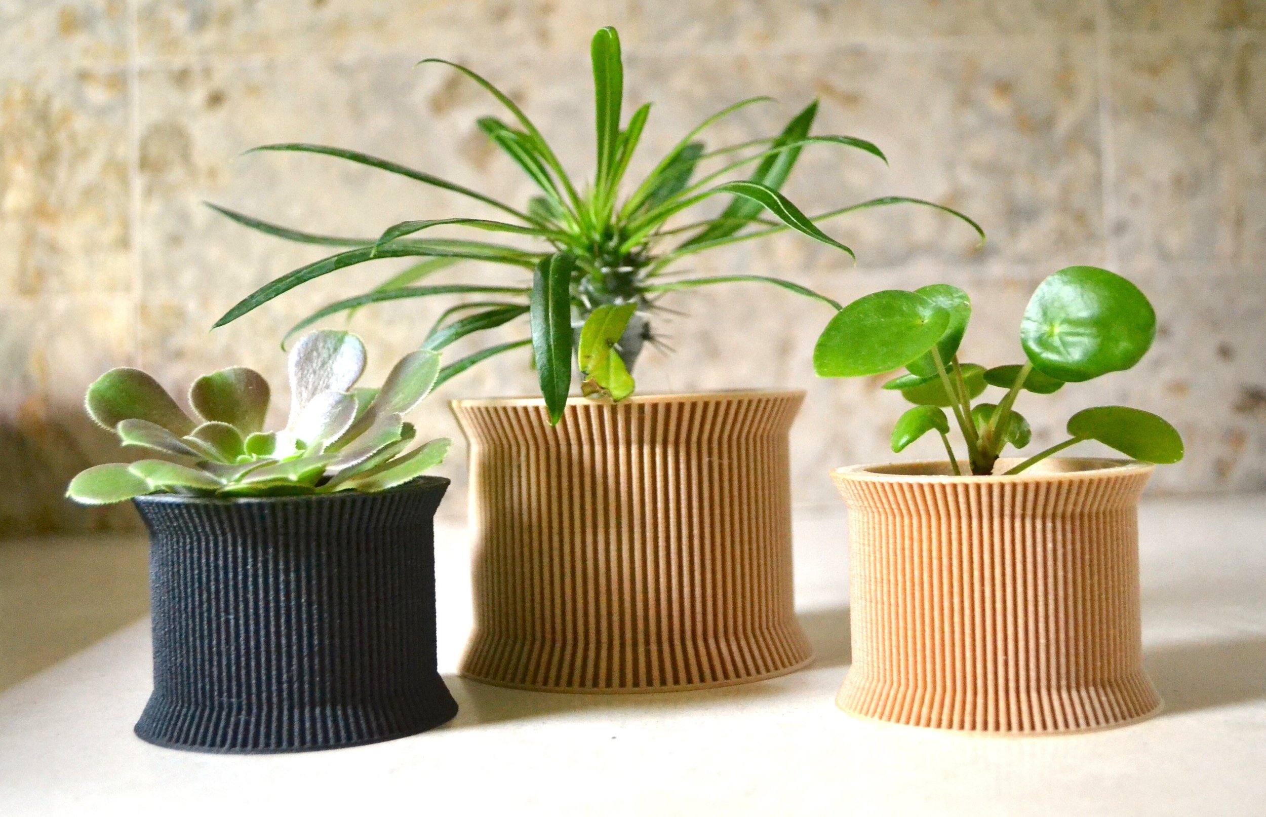 https://i.etsystatic.com/23301702/r/il/5b9da9/2508765040/il_fullxfull.2508765040_dkrc.jpg