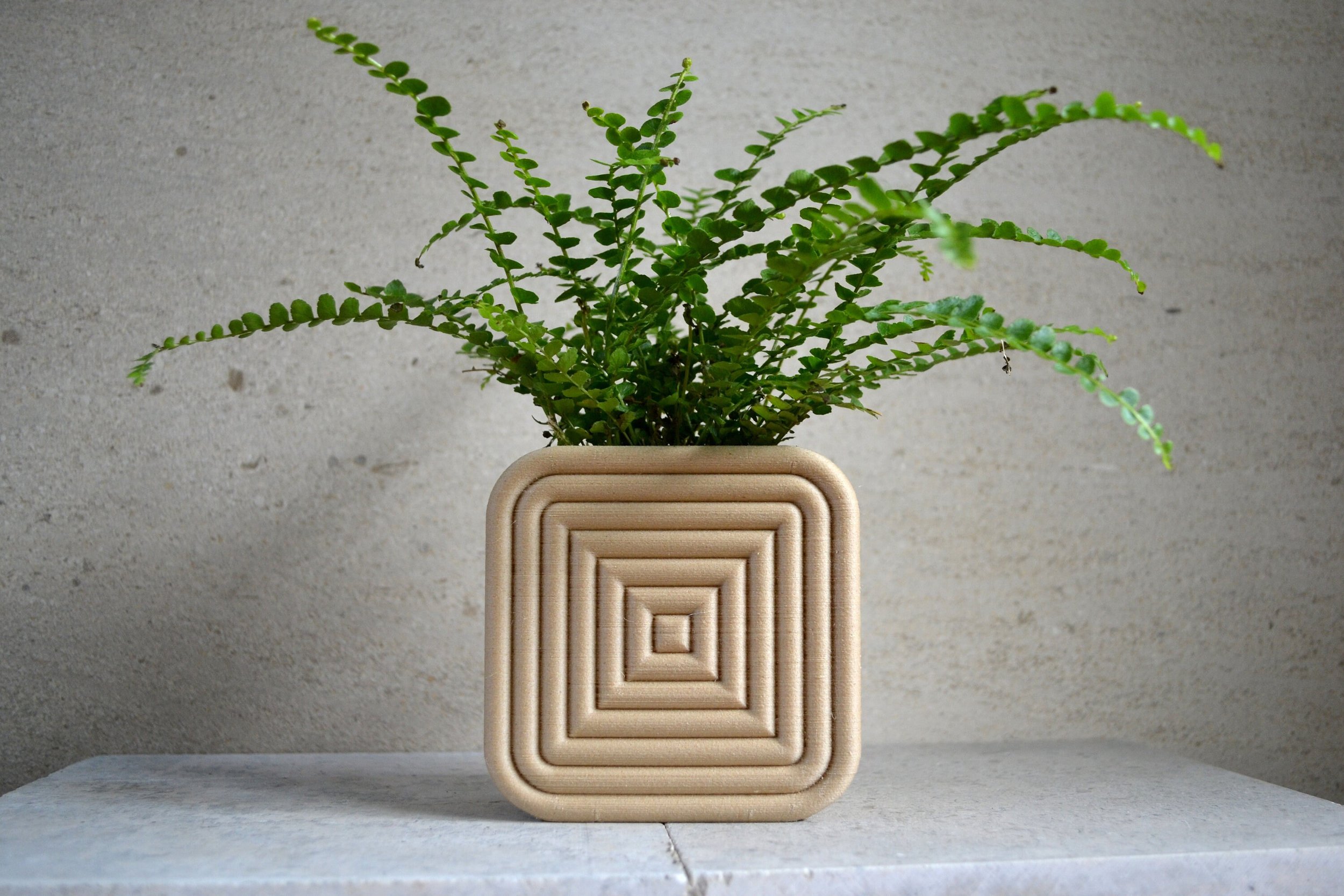 https://i.etsystatic.com/23301702/r/il/5fc02a/2911774969/il_fullxfull.2911774969_5oc6.jpg
