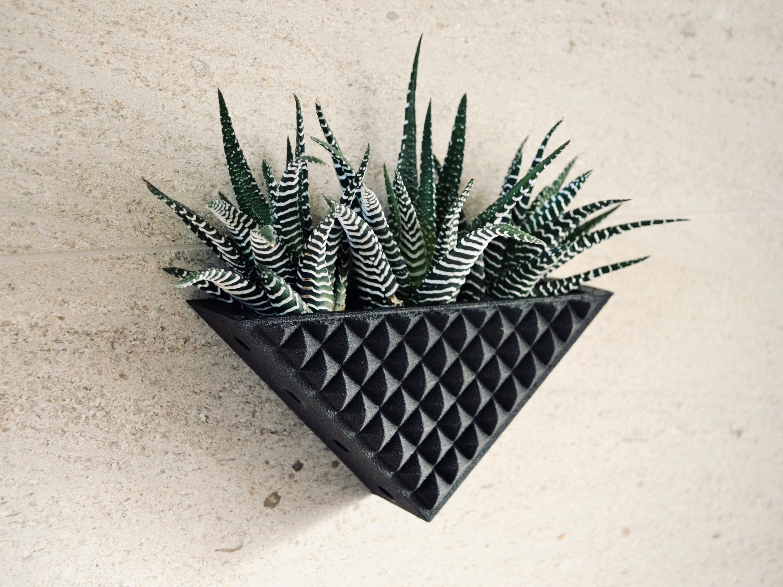 https://i.etsystatic.com/23301702/r/il/2e8e97/2735957029/il_fullxfull.2735957029_58ze.jpg