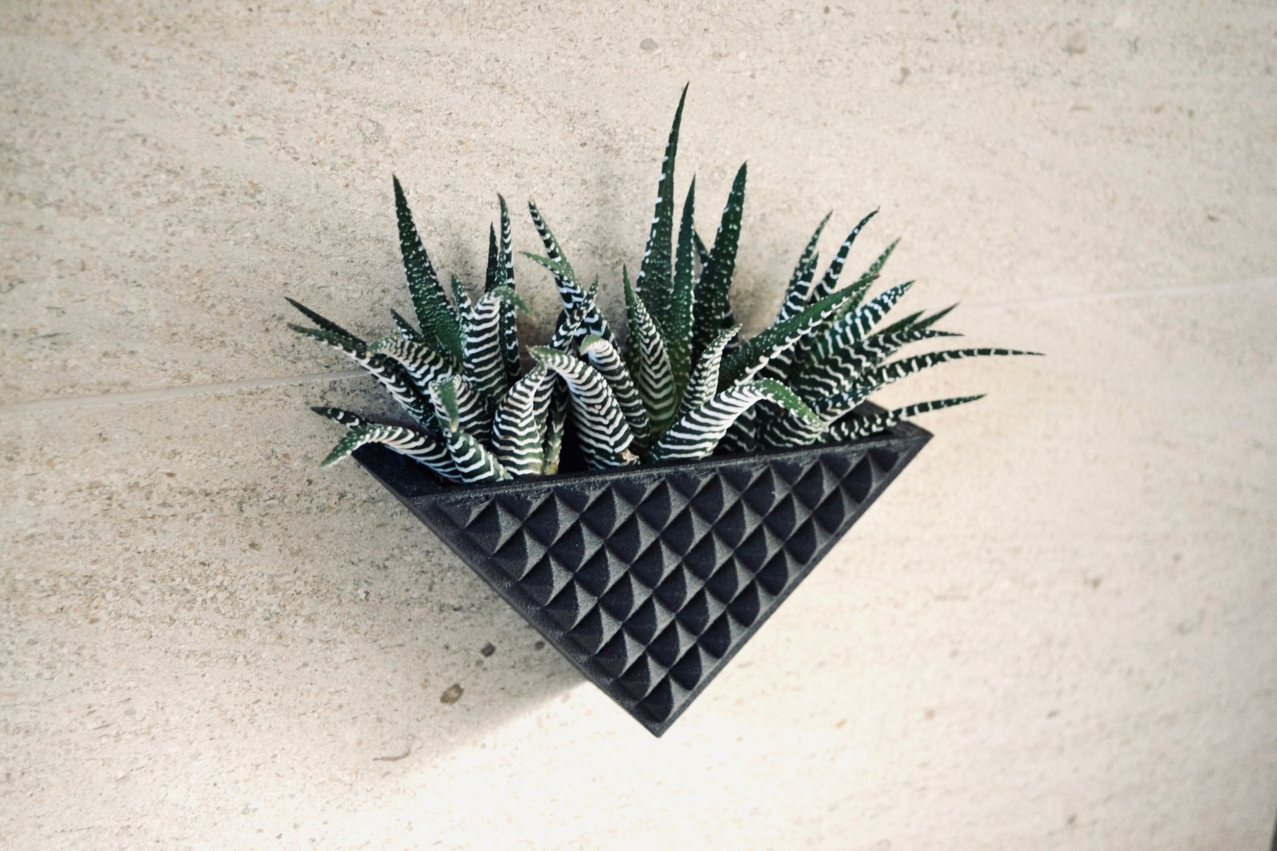 https://i.etsystatic.com/23301702/r/il/87df45/2735953579/il_fullxfull.2735953579_i0ou.jpg