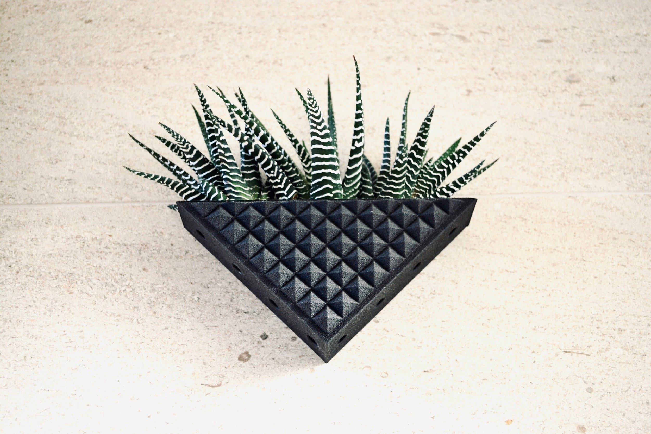 https://i.etsystatic.com/23301702/r/il/931ced/2735953253/il_fullxfull.2735953253_m1rv.jpg