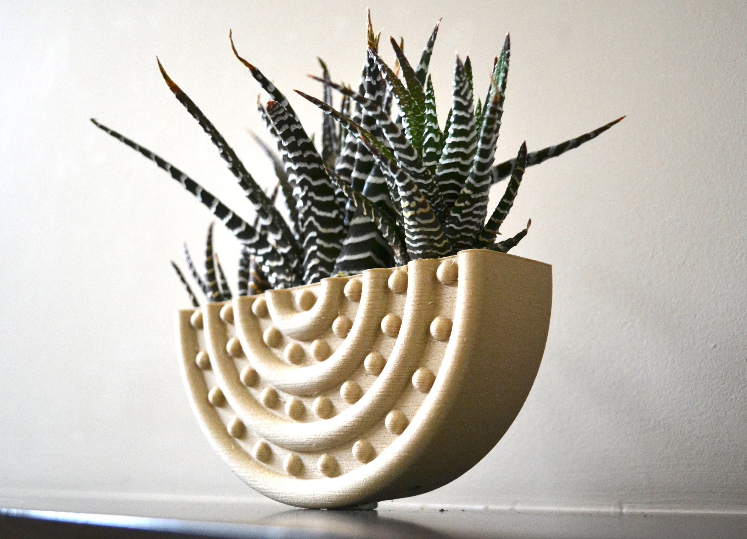 https://i.etsystatic.com/23301702/r/il/6fc60c/2911751909/il_fullxfull.2911751909_ce01.jpg