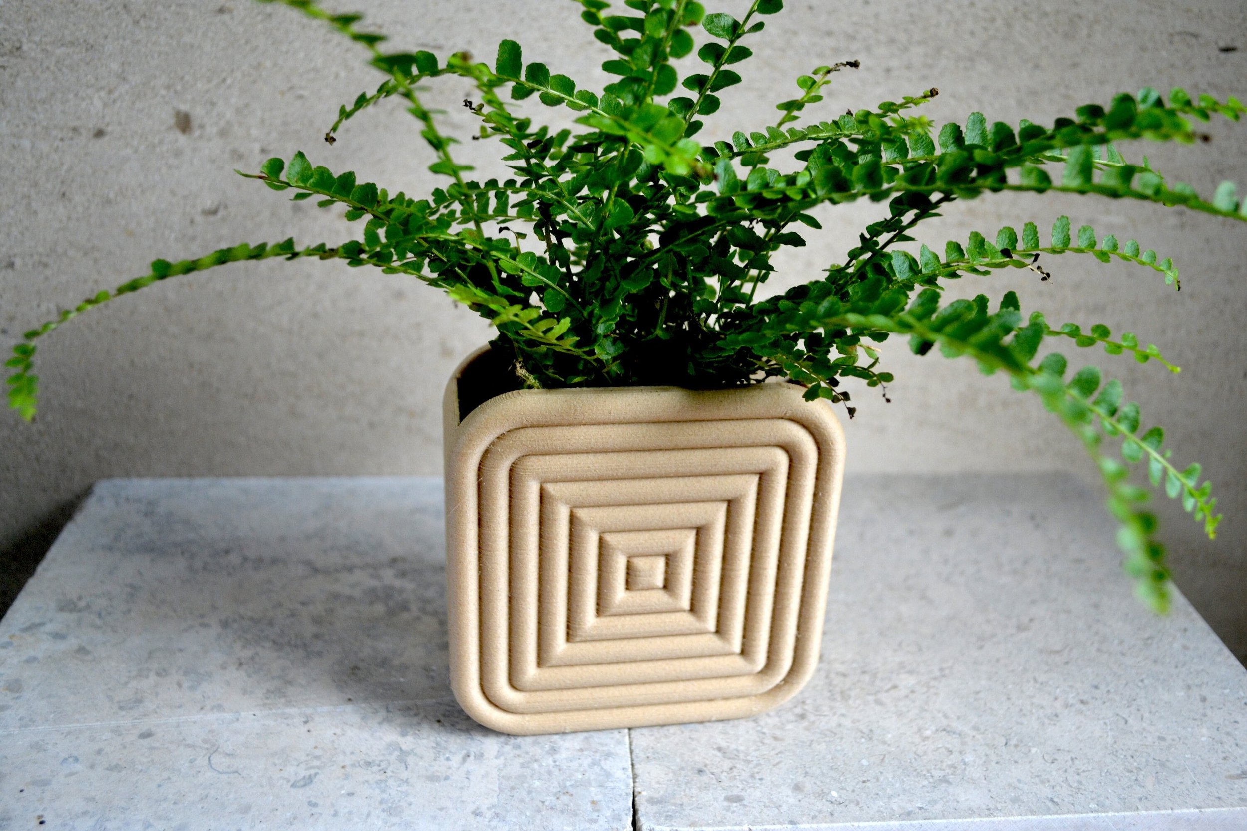 https://i.etsystatic.com/23301702/r/il/b6c8cc/2795080902/il_fullxfull.2795080902_dzjy.jpg