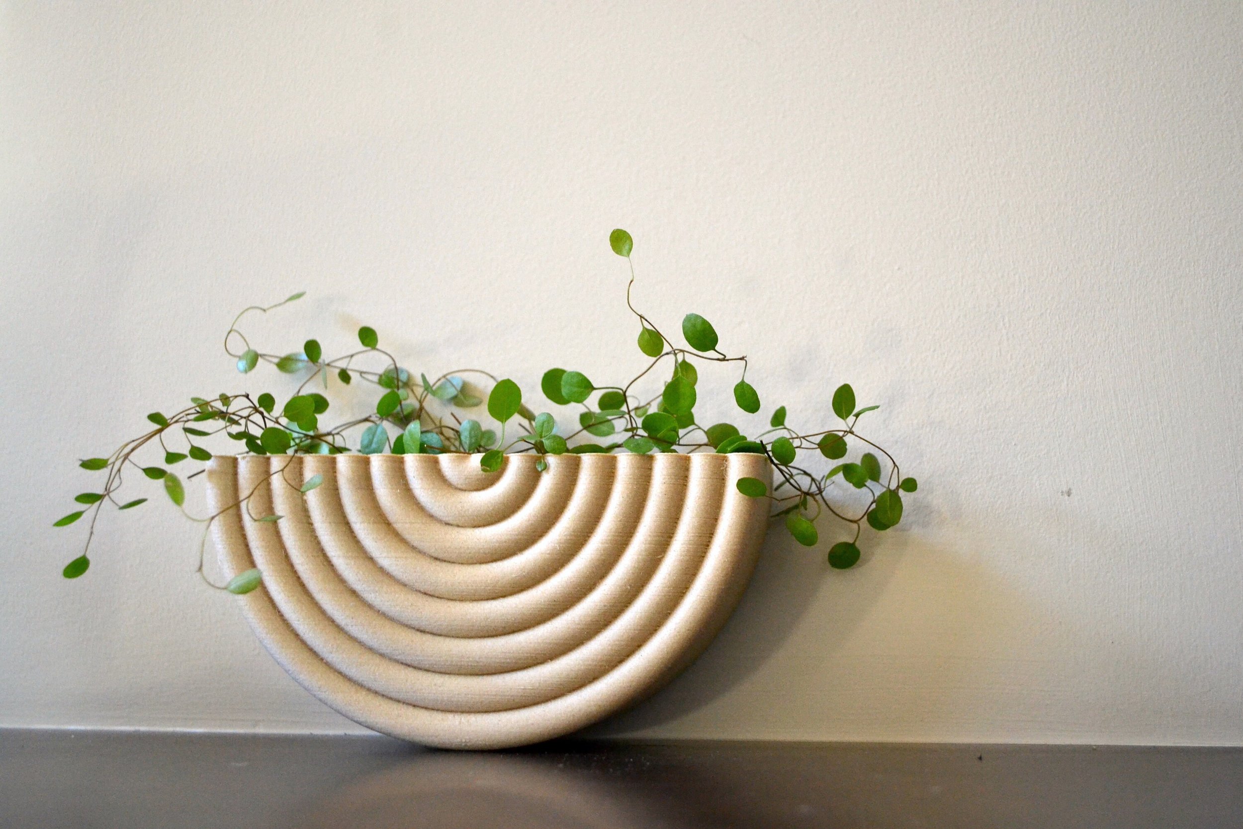 https://i.etsystatic.com/23301702/r/il/fdd373/2884536019/il_fullxfull.2884536019_ctji.jpg