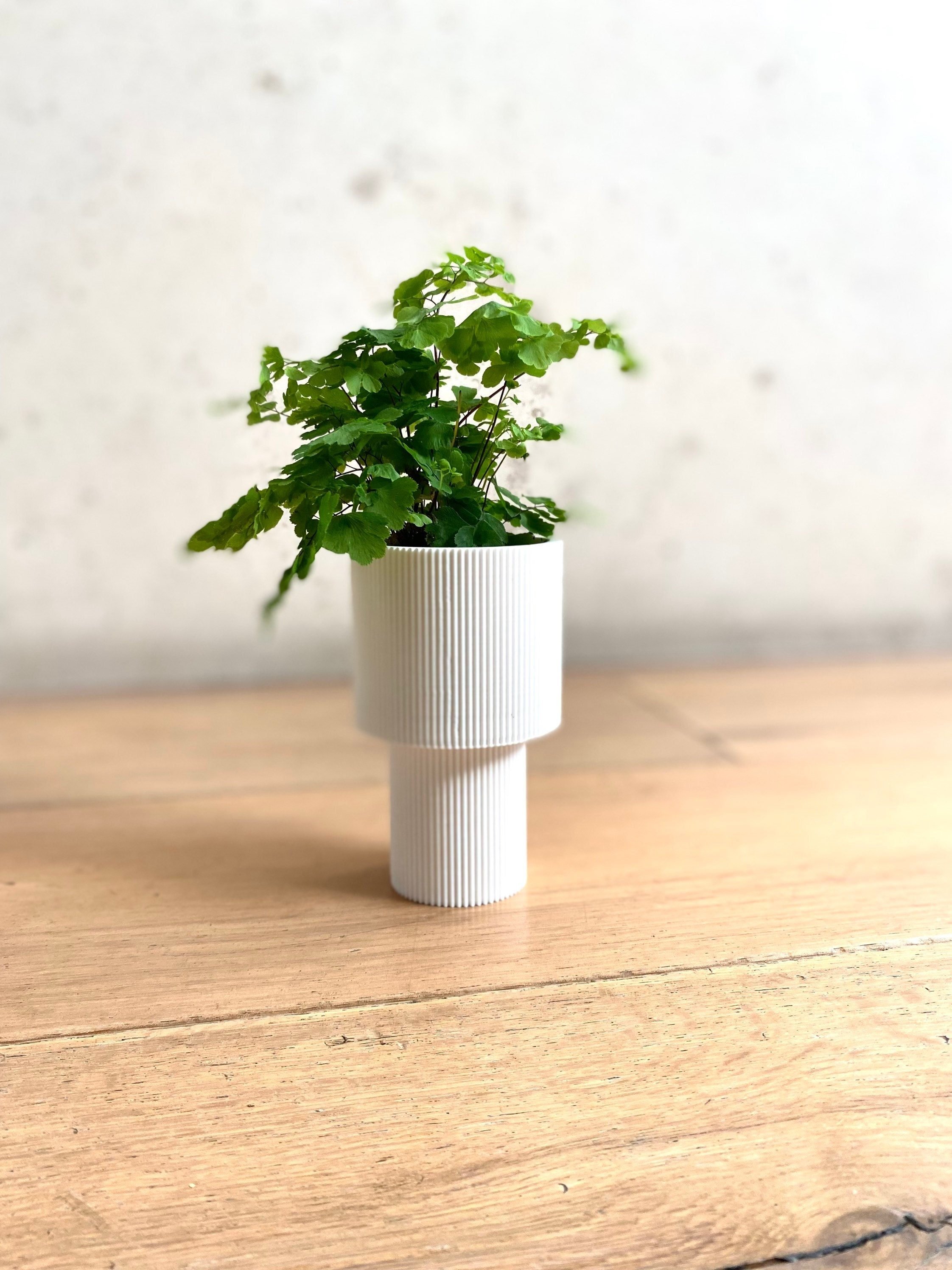 https://i.etsystatic.com/23301702/r/il/76723d/3679993911/il_fullxfull.3679993911_jjlz.jpg