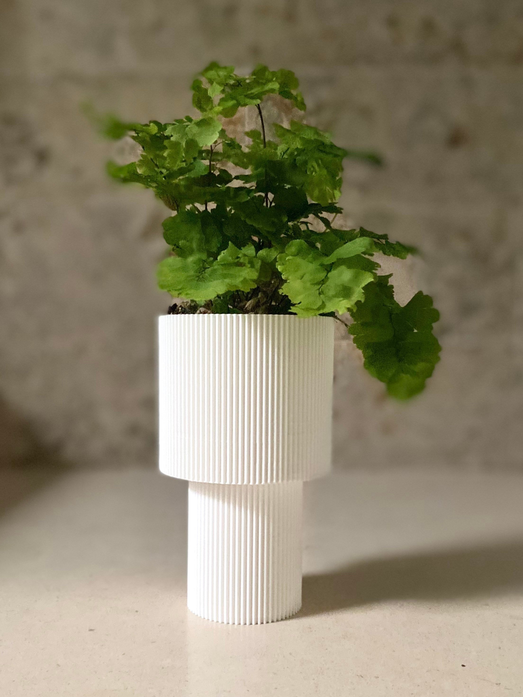 https://i.etsystatic.com/23301702/r/il/613826/3658057945/il_fullxfull.3658057945_bbxl.jpg