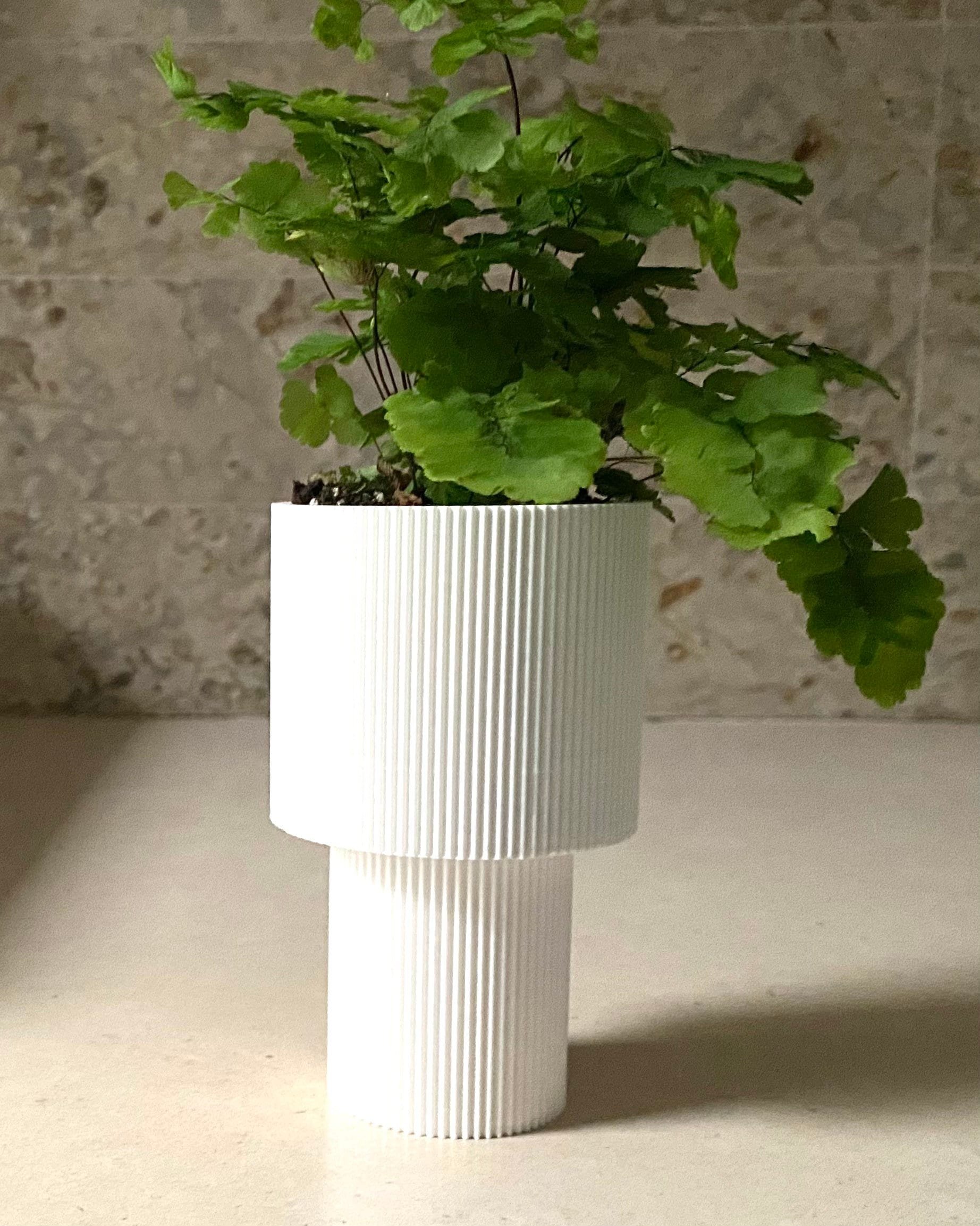 https://i.etsystatic.com/23301702/r/il/7cb4ba/3658058131/il_fullxfull.3658058131_rb4k.jpg