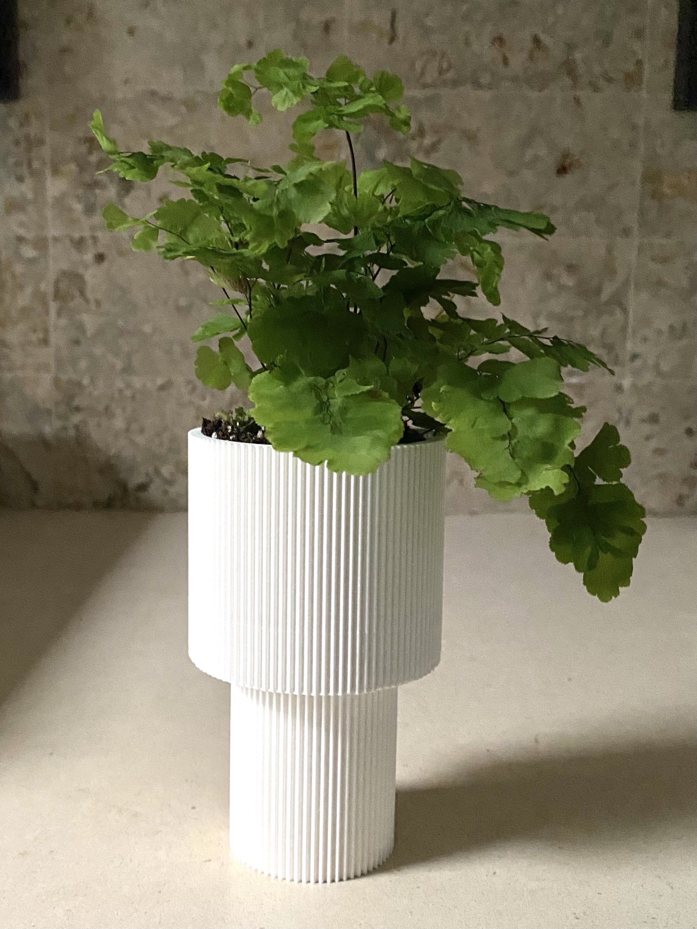https://i.etsystatic.com/23301702/r/il/f6d89f/3610441900/il_fullxfull.3610441900_6pga.jpg