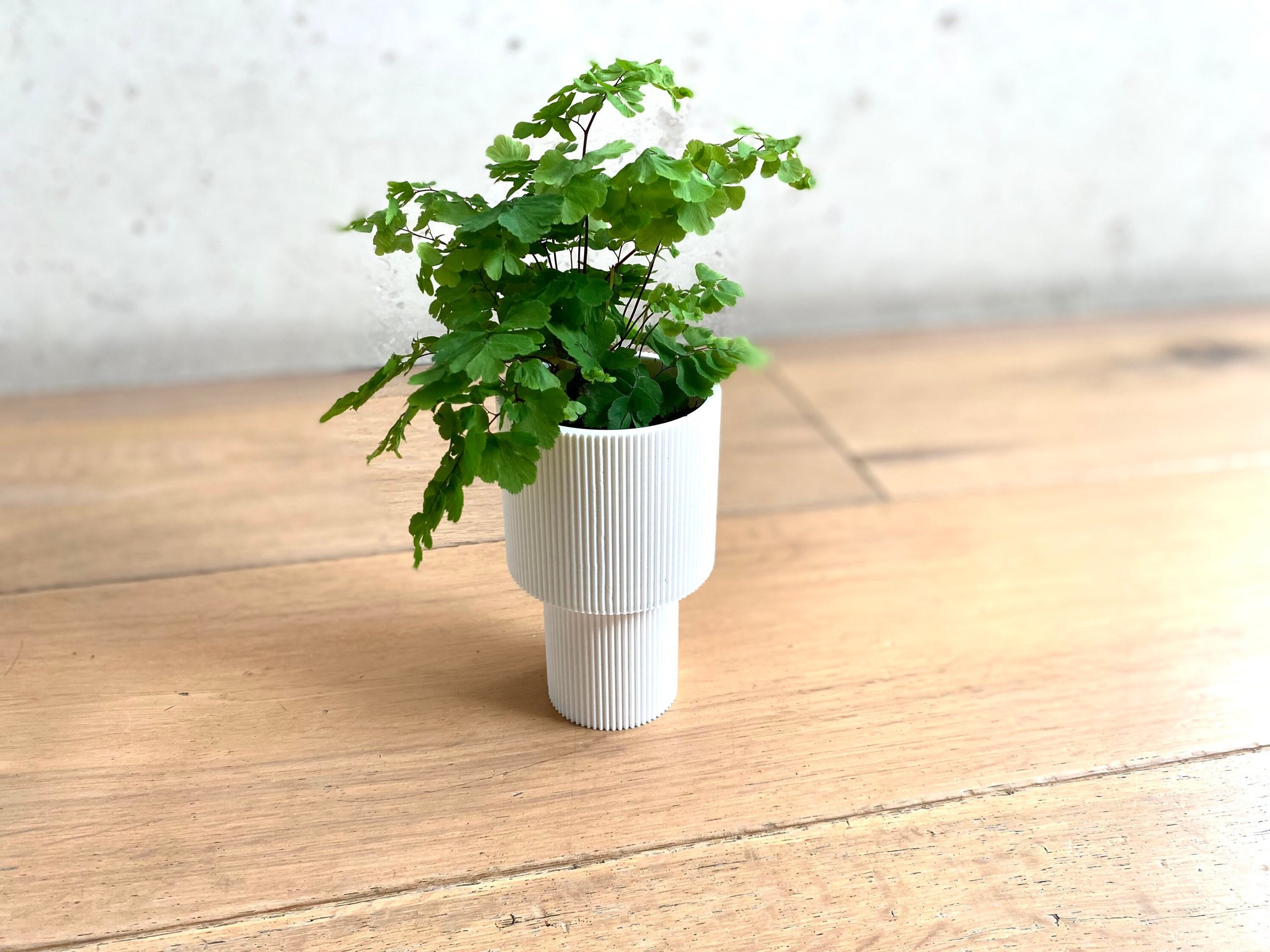 https://i.etsystatic.com/23301702/r/il/b992eb/3658058251/il_fullxfull.3658058251_rupu.jpg