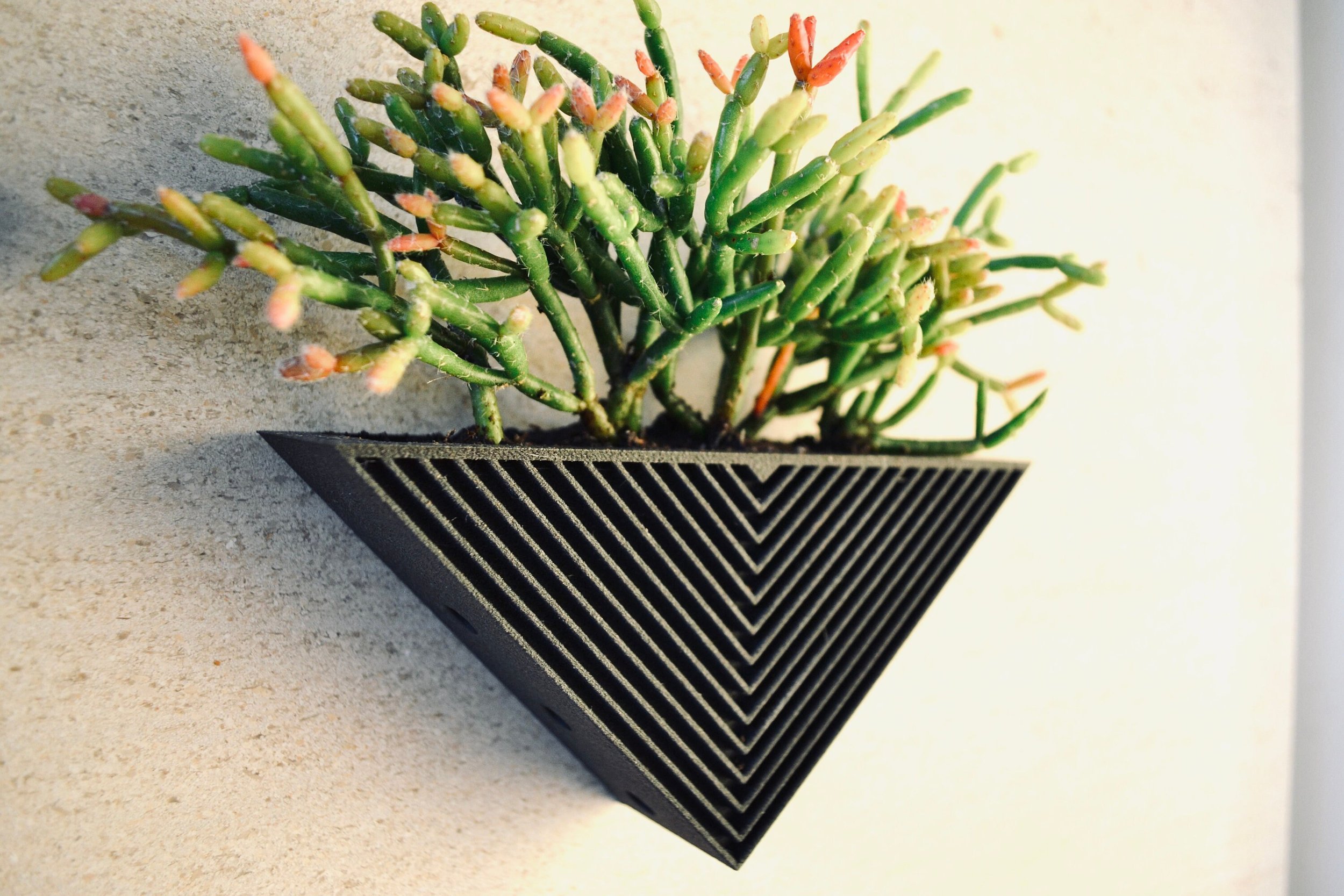 https://i.etsystatic.com/23301702/r/il/50f076/2688235456/il_fullxfull.2688235456_sdhy.jpg