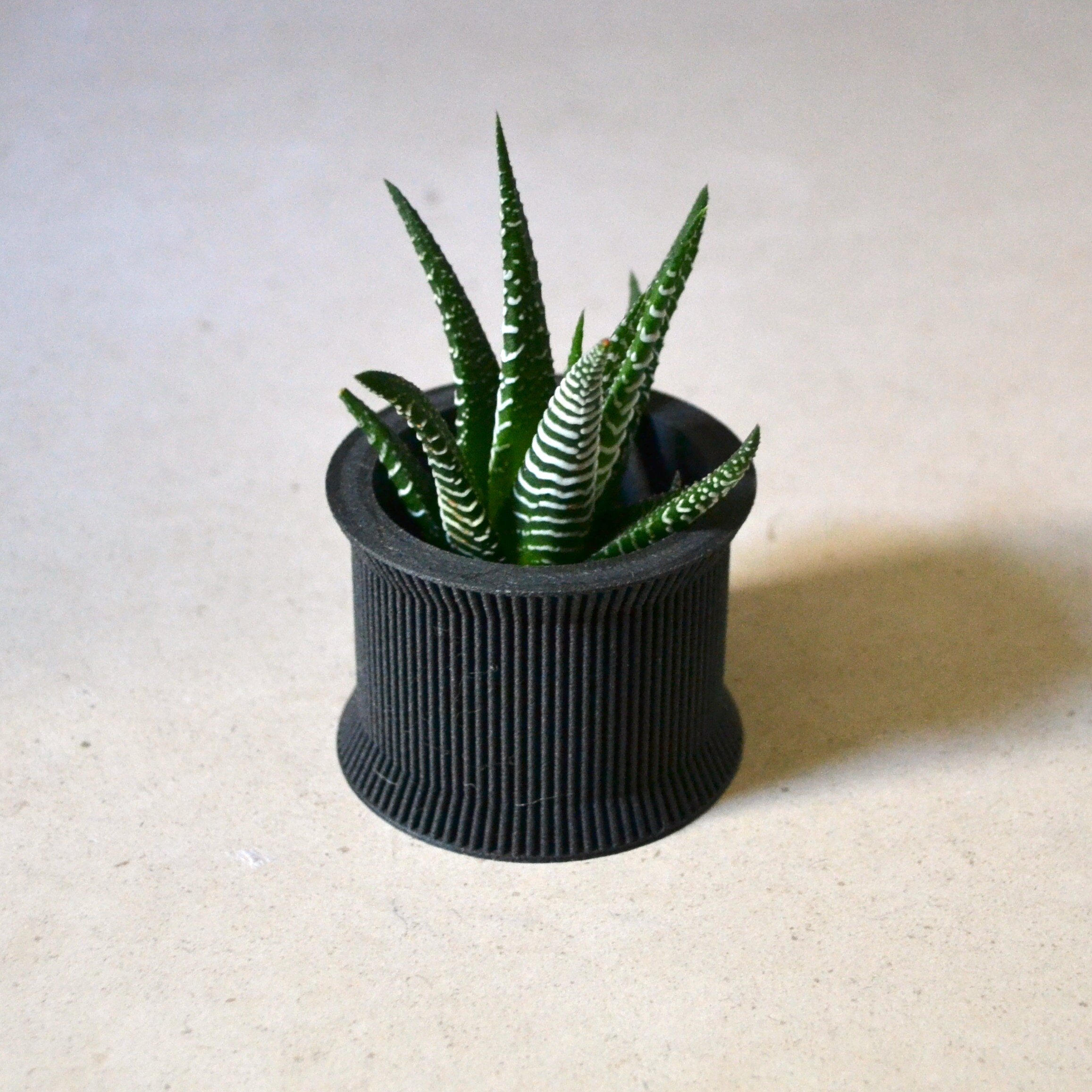 https://i.etsystatic.com/23301702/r/il/9e6e97/2556448015/il_fullxfull.2556448015_lagd.jpg