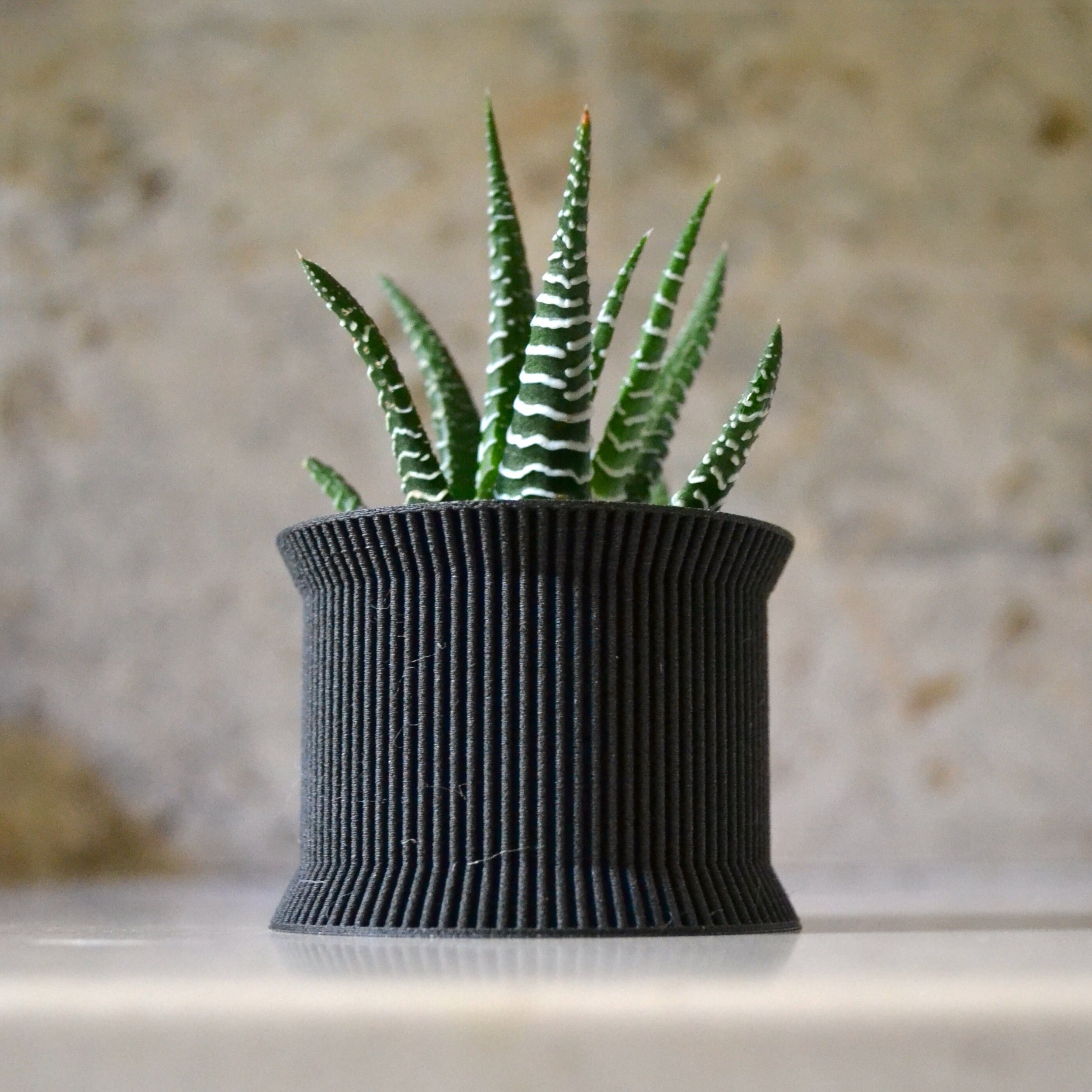 https://i.etsystatic.com/23301702/r/il/e5be6c/2508773102/il_fullxfull.2508773102_l6p3.jpg