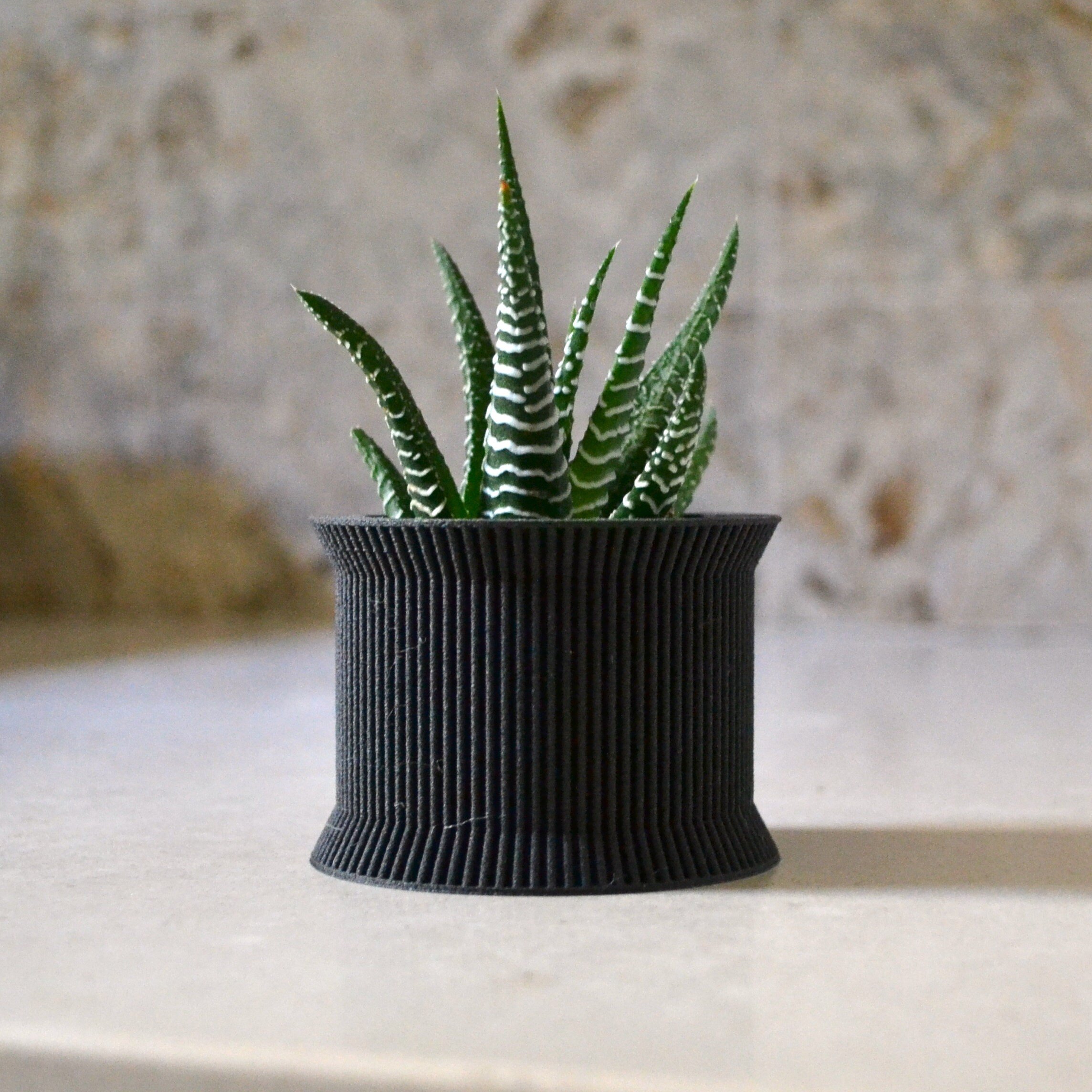 https://i.etsystatic.com/23301702/r/il/675feb/2508772906/il_fullxfull.2508772906_5i89.jpg