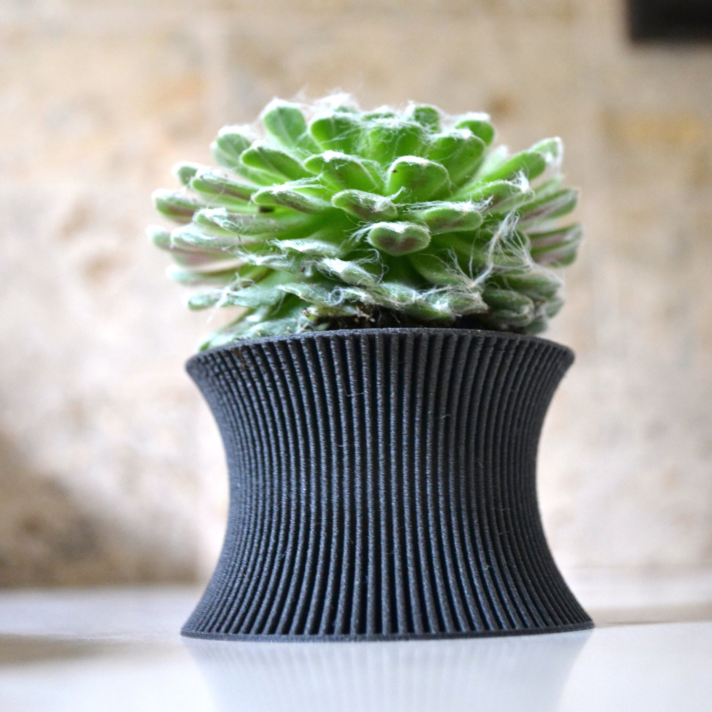 https://i.etsystatic.com/23301702/r/il/579957/2556392417/il_fullxfull.2556392417_ea7m.jpg