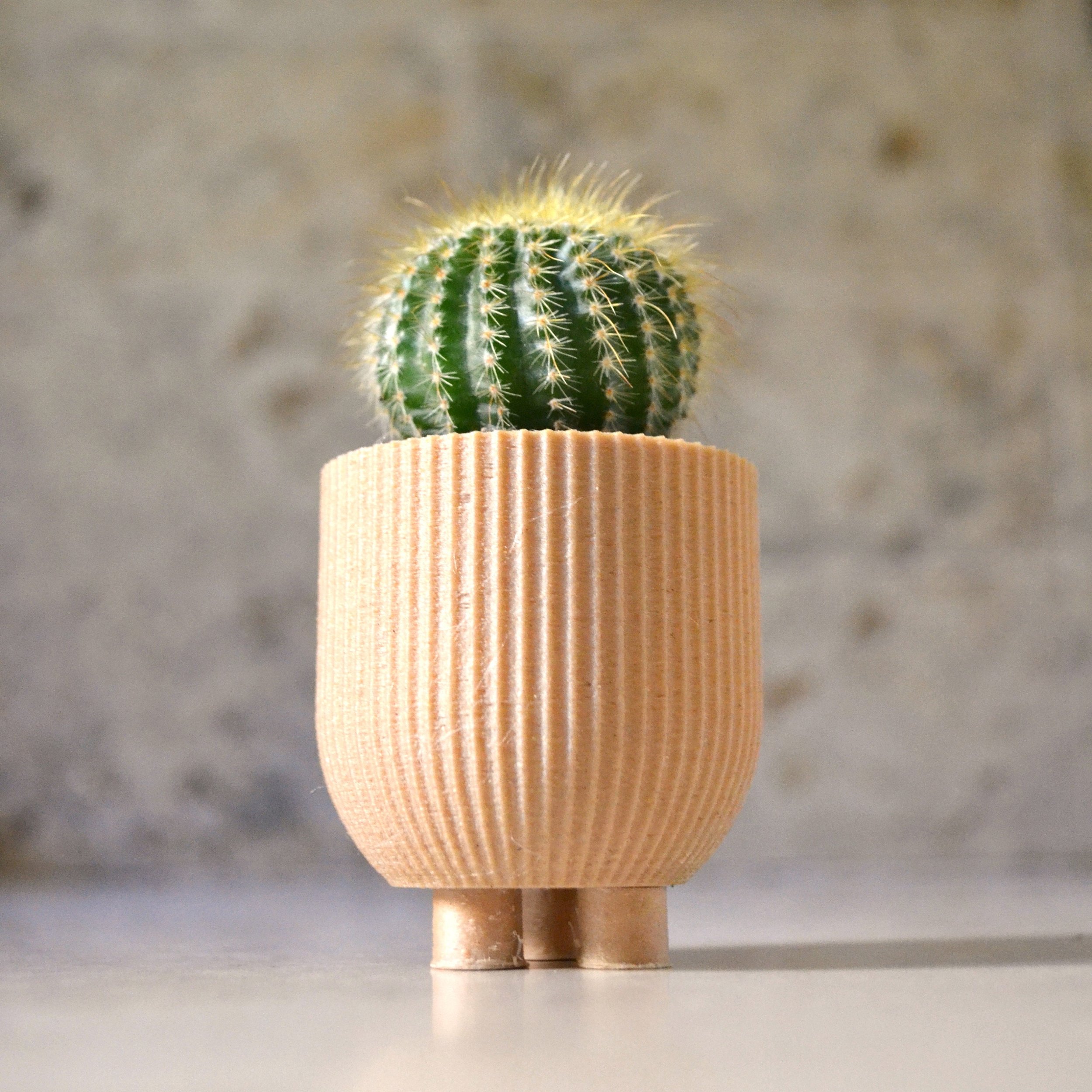 https://i.etsystatic.com/23301702/r/il/cb513e/2562363629/il_fullxfull.2562363629_mznr.jpg