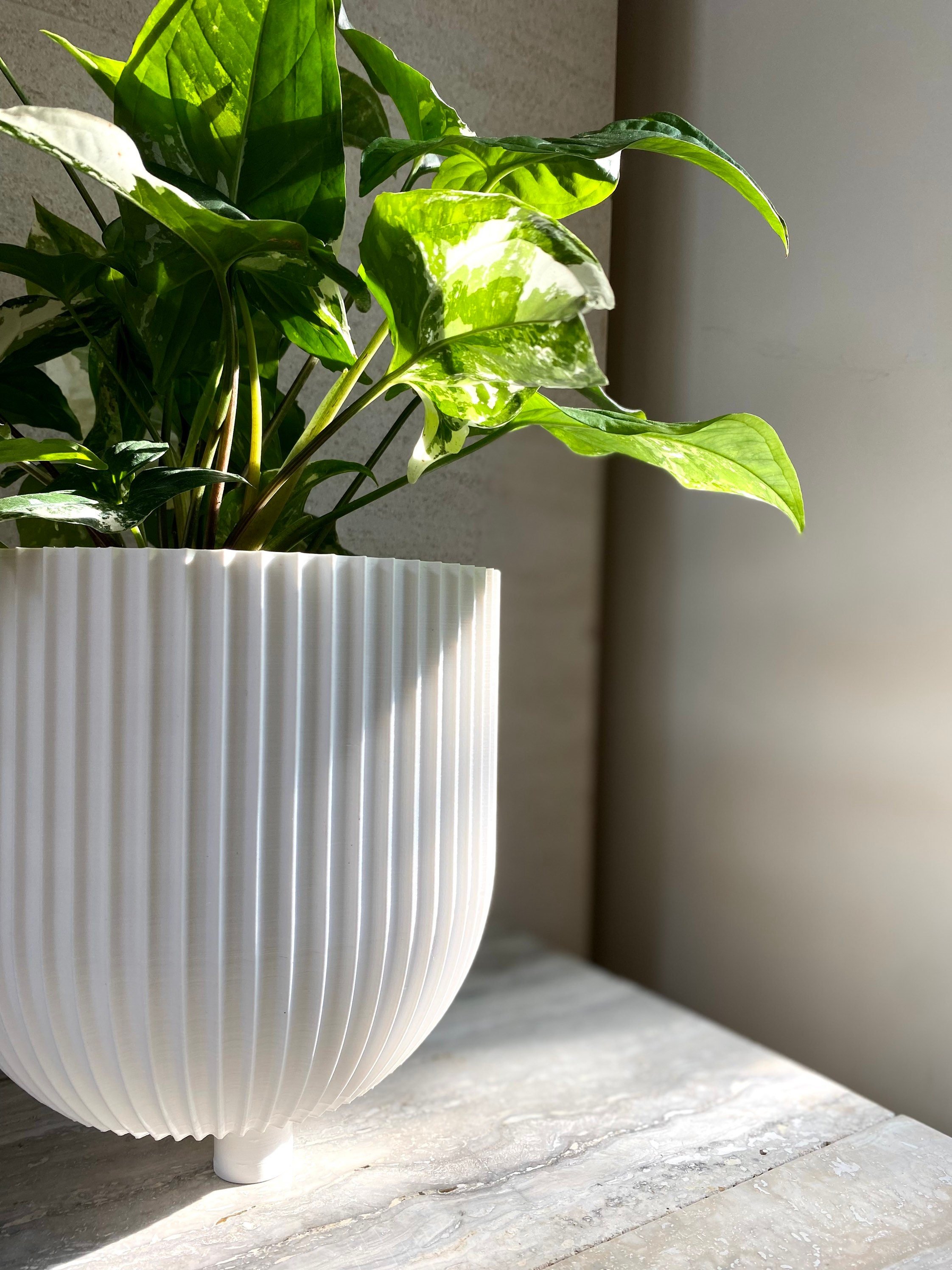 https://i.etsystatic.com/23301702/r/il/1453f6/3687758891/il_fullxfull.3687758891_8x5y.jpg