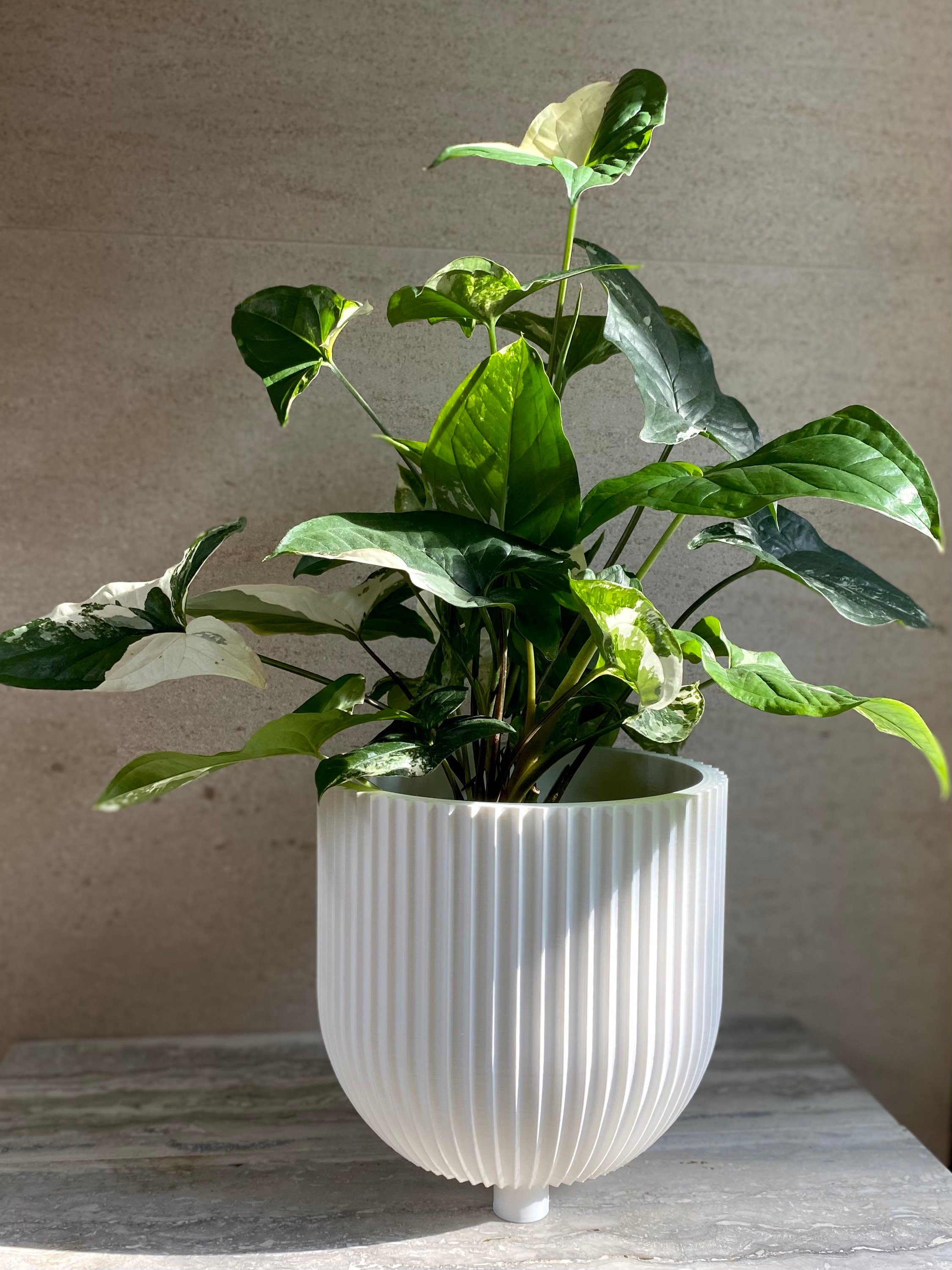 https://i.etsystatic.com/23301702/r/il/52e93b/3640149188/il_fullxfull.3640149188_jn30.jpg