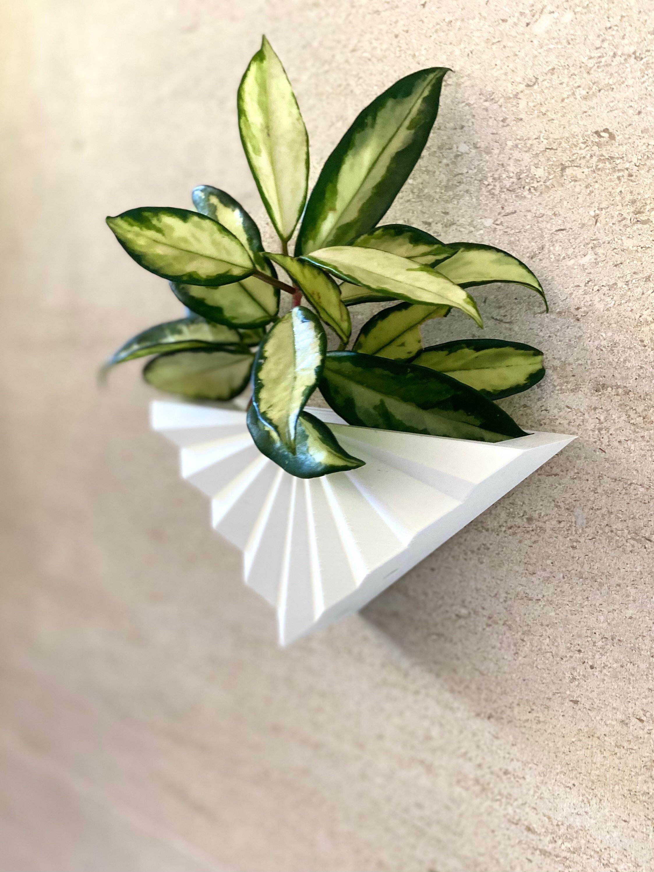 https://i.etsystatic.com/23301702/r/il/a7f04d/3930227726/il_fullxfull.3930227726_cc8t.jpg