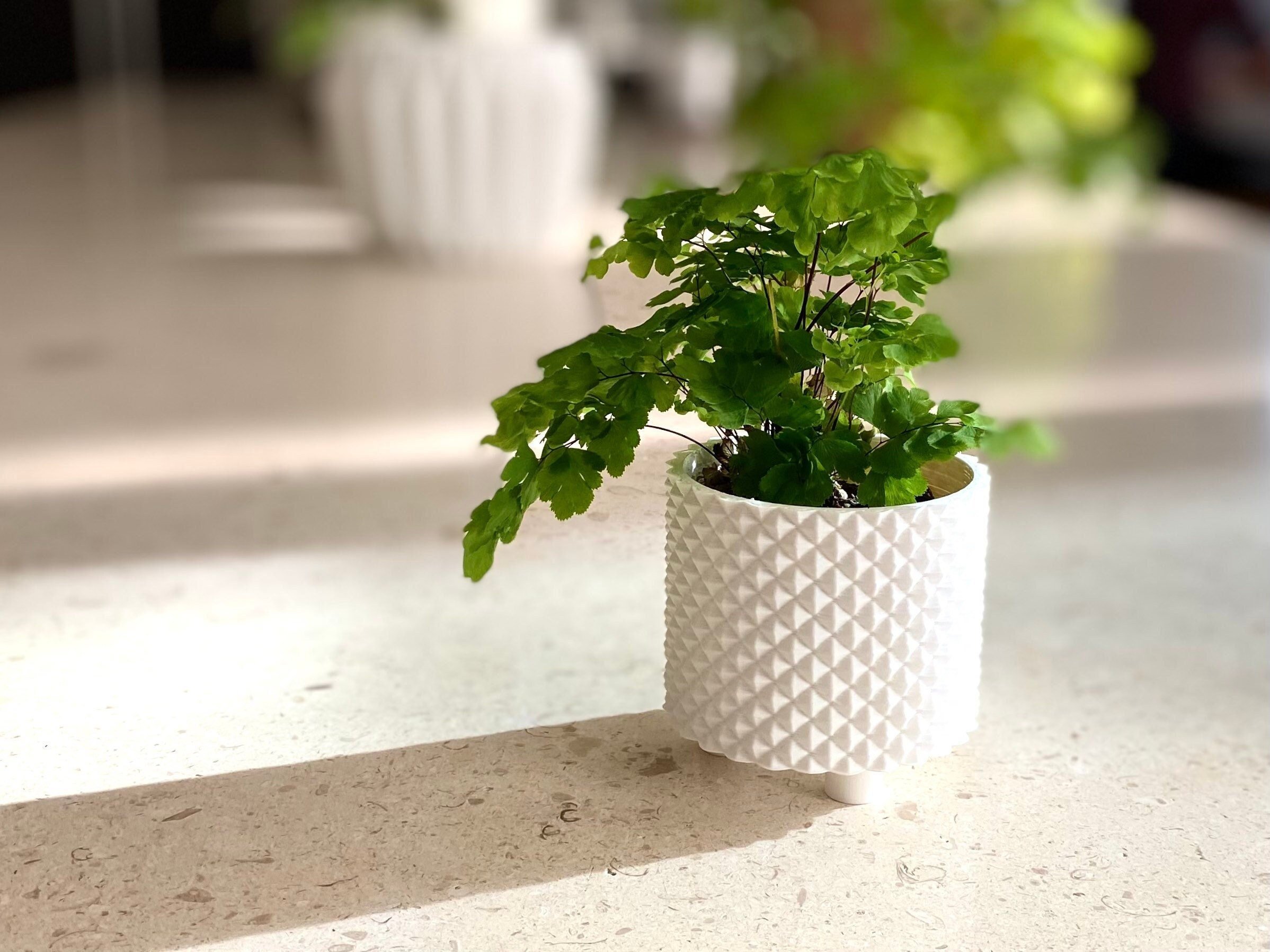 https://i.etsystatic.com/23301702/r/il/48b8ca/5263025464/il_fullxfull.5263025464_tac8.jpg