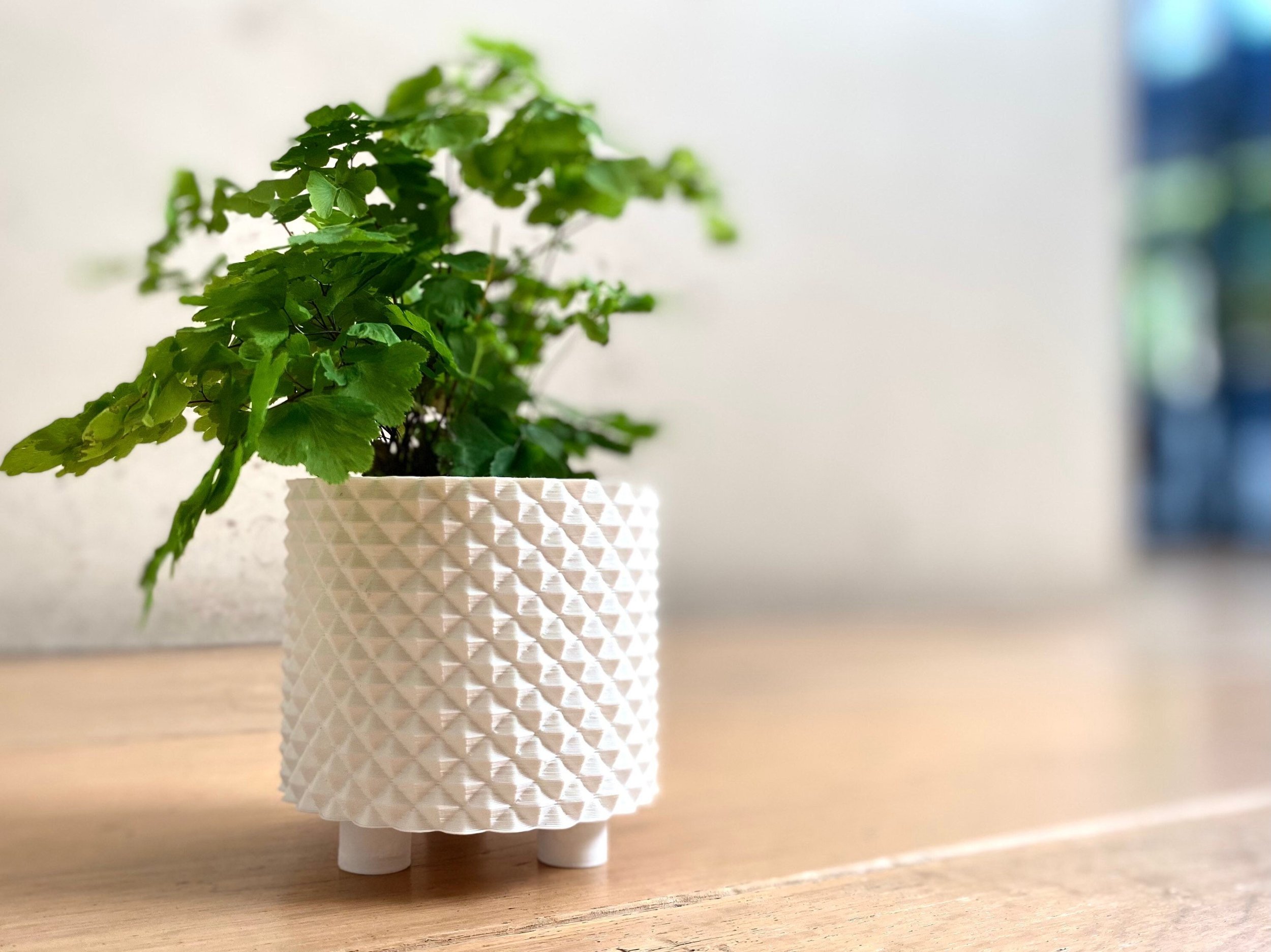 https://i.etsystatic.com/23301702/r/il/dd77df/3680059915/il_fullxfull.3680059915_s849.jpg