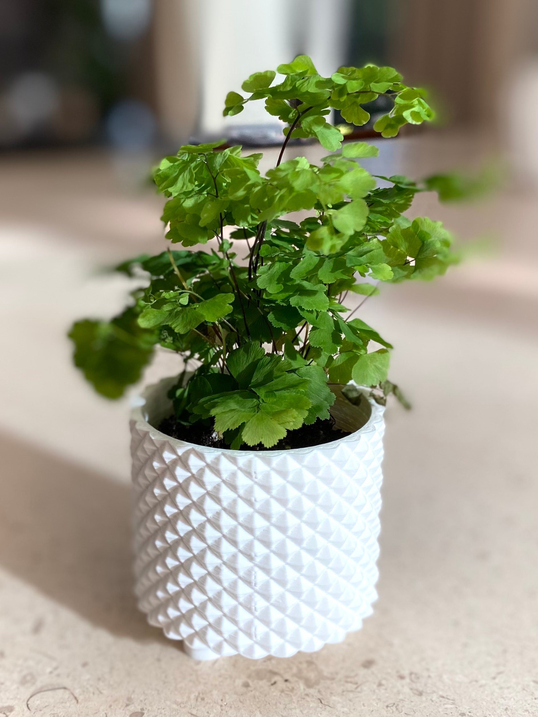 https://i.etsystatic.com/23301702/r/il/58039c/3632446884/il_fullxfull.3632446884_6nir.jpg