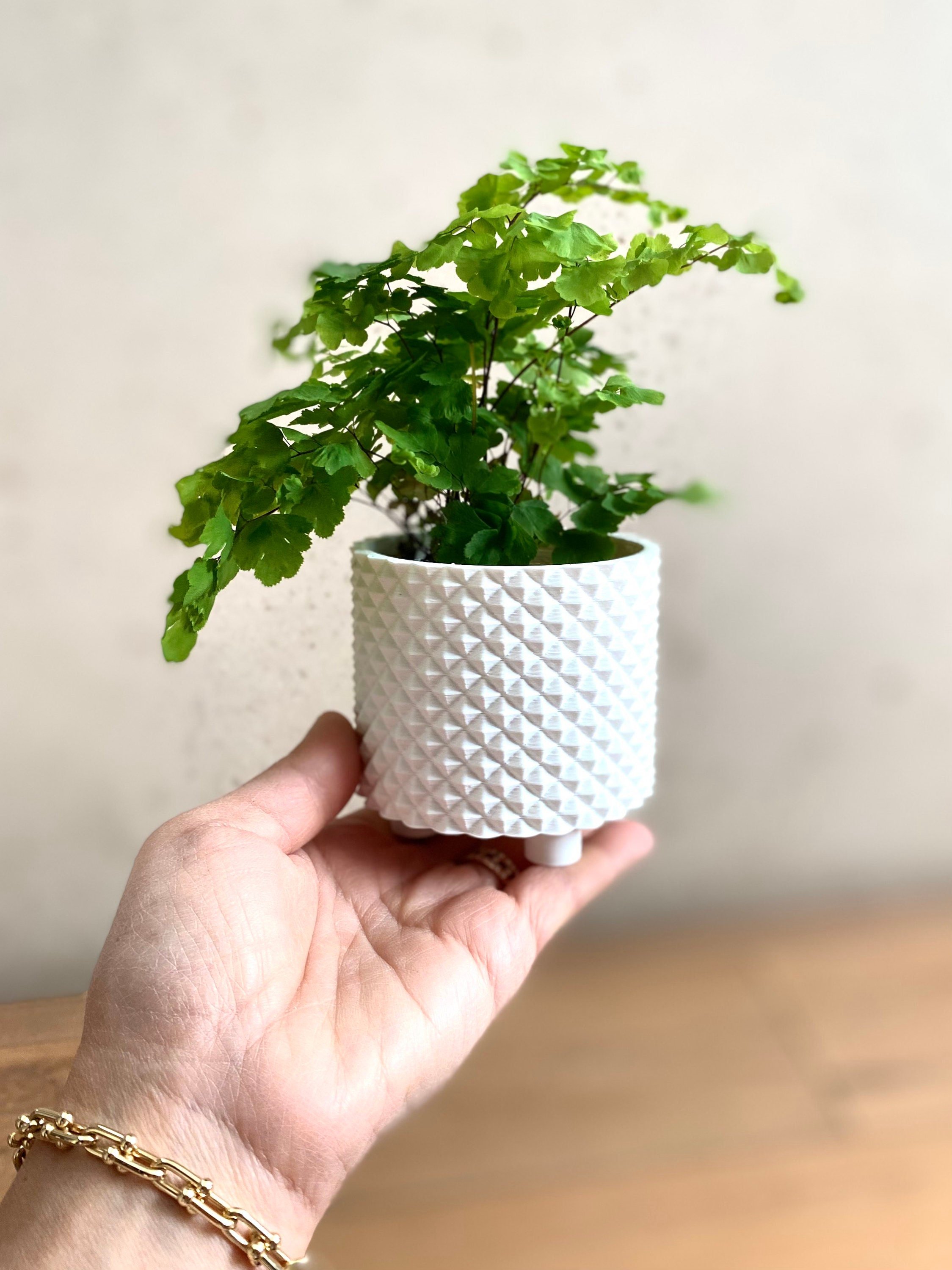 https://i.etsystatic.com/23301702/r/il/92859b/3680055317/il_fullxfull.3680055317_8817.jpg
