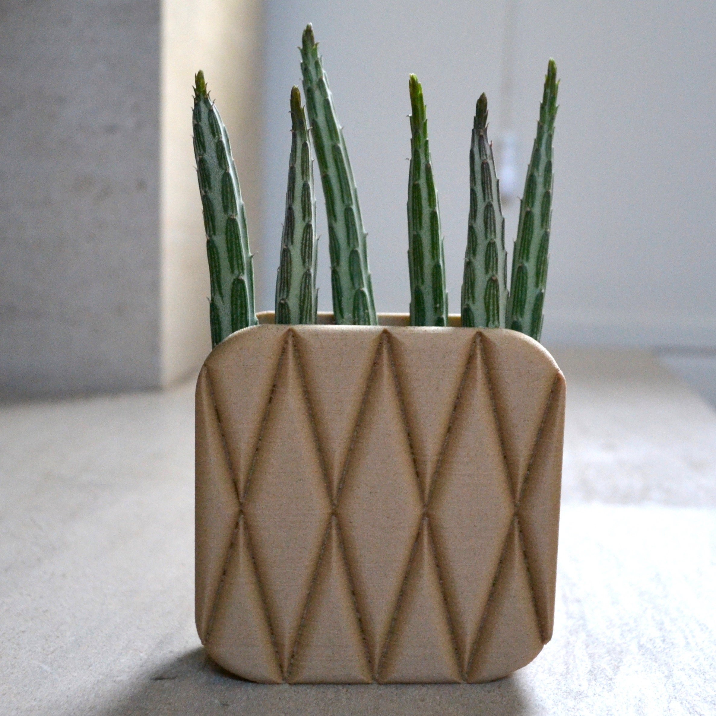https://i.etsystatic.com/23301702/r/il/423584/2815304639/il_fullxfull.2815304639_7zgq.jpg
