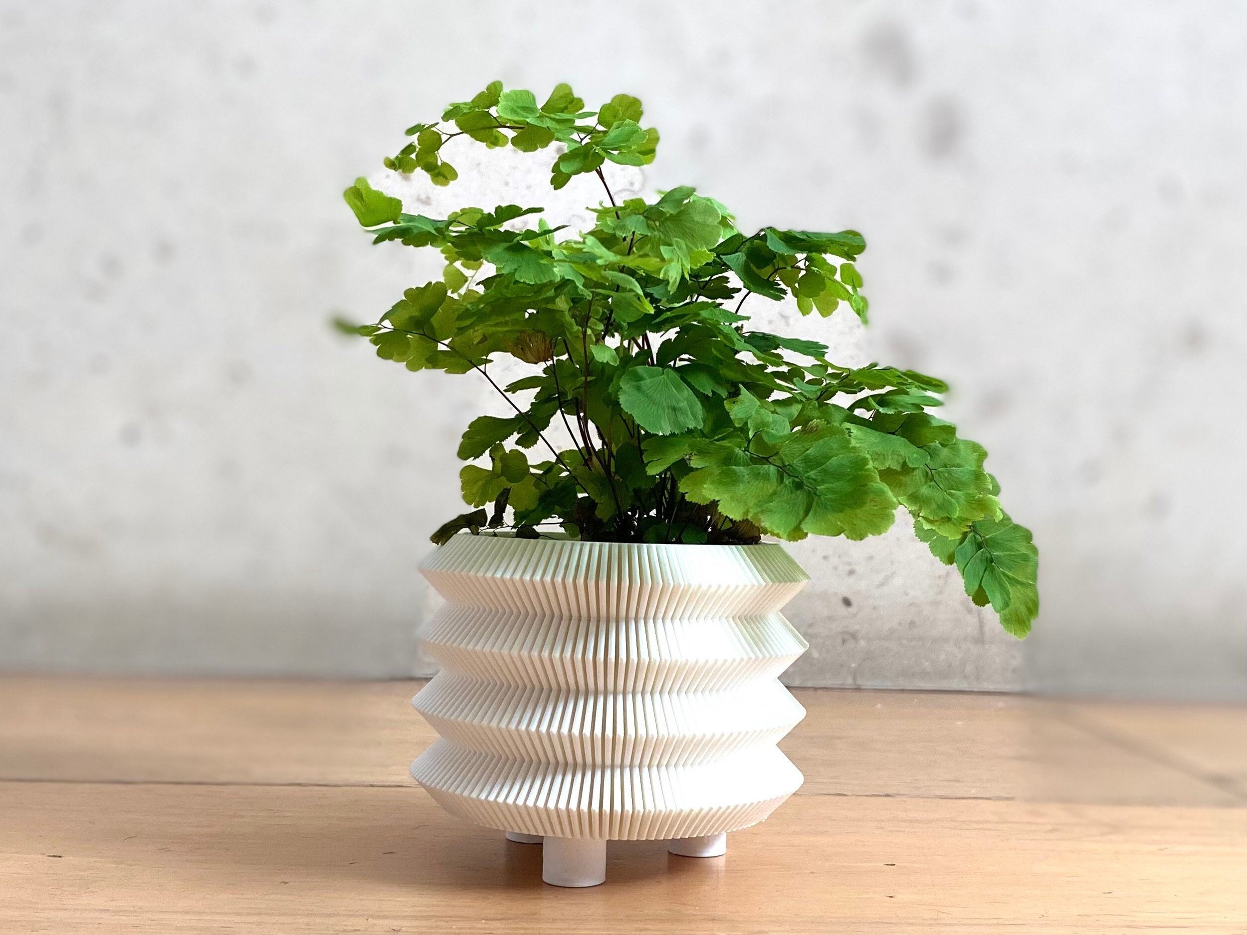 https://i.etsystatic.com/23301702/r/il/b7d55a/3632379656/il_fullxfull.3632379656_l8ln.jpg
