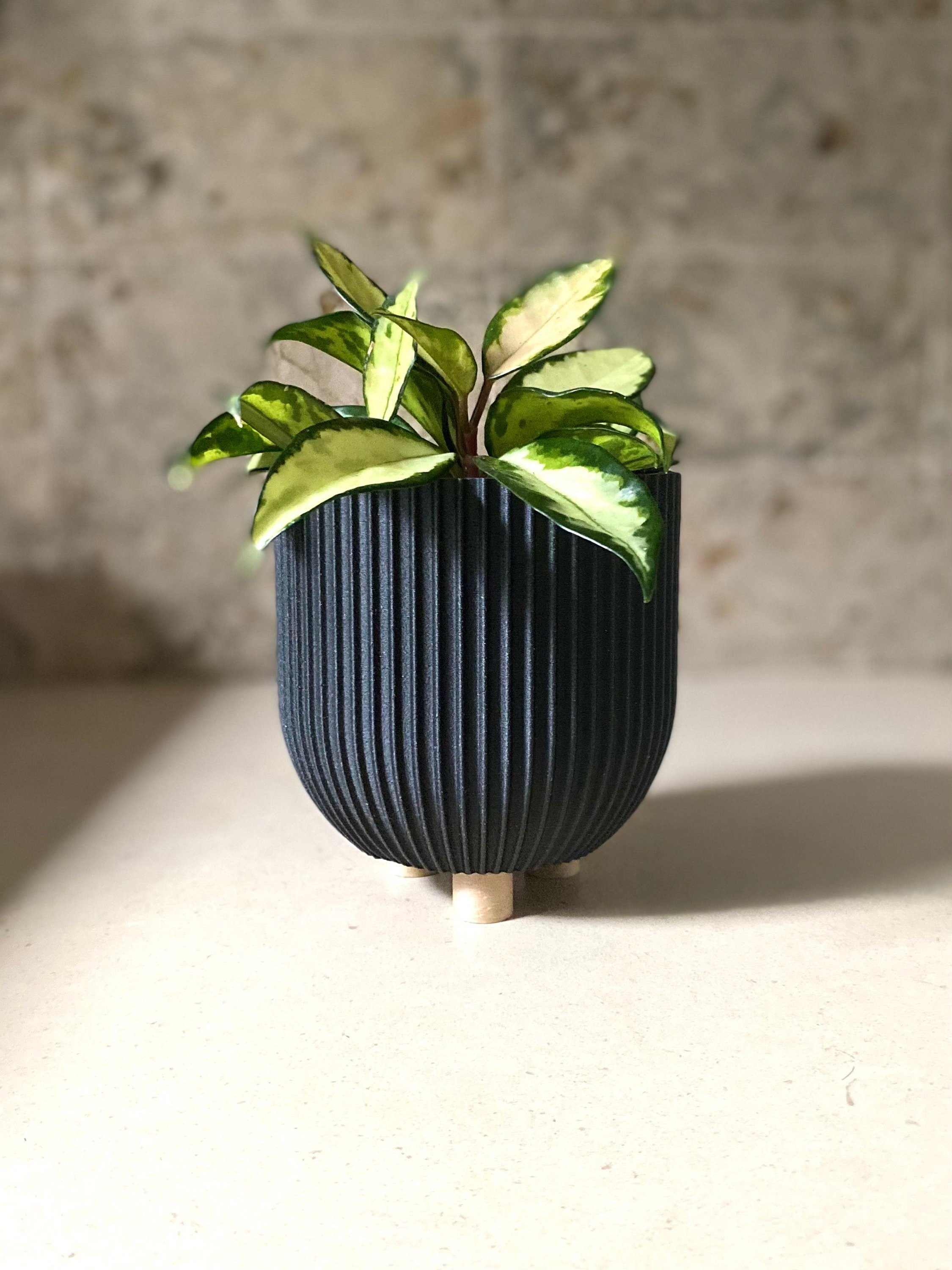 https://i.etsystatic.com/23301702/r/il/2b7328/3597057012/il_fullxfull.3597057012_32bq.jpg