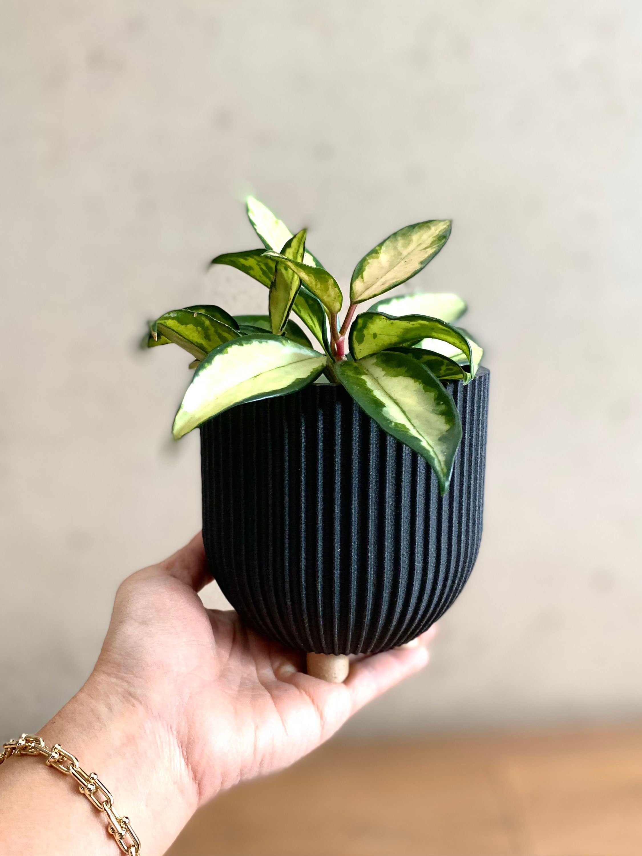 https://i.etsystatic.com/23301702/r/il/e2a7ae/3644114431/il_fullxfull.3644114431_ne3u.jpg