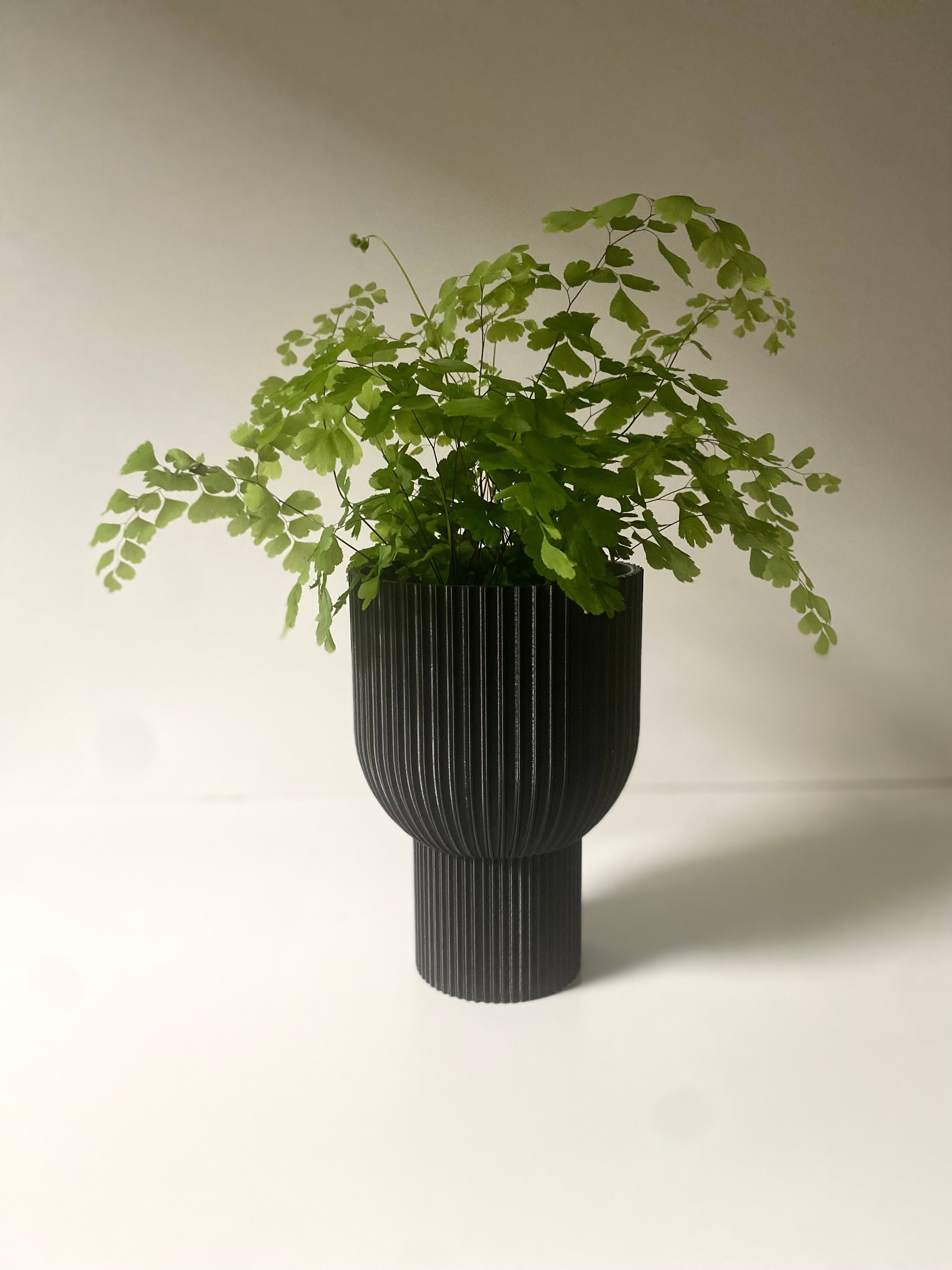 https://i.etsystatic.com/23301702/r/il/724cf4/4984038182/il_fullxfull.4984038182_2n89.jpg